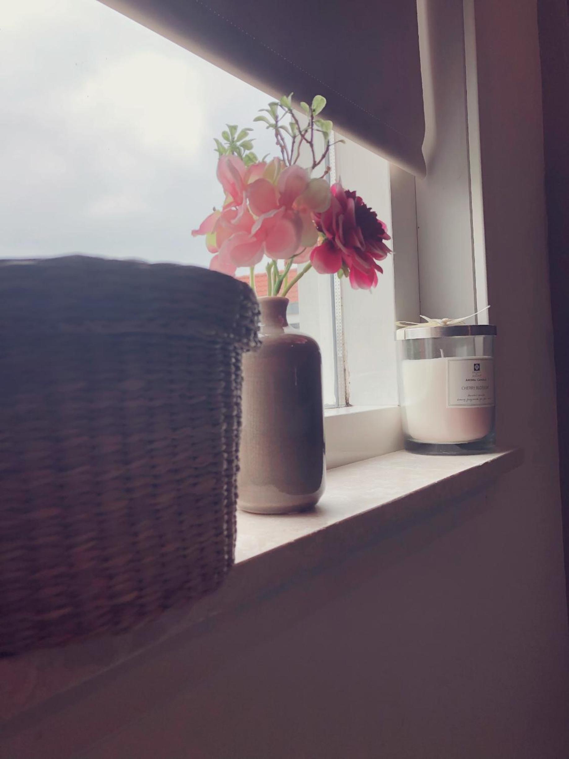 Bed & Breakfast Yerseke view 3