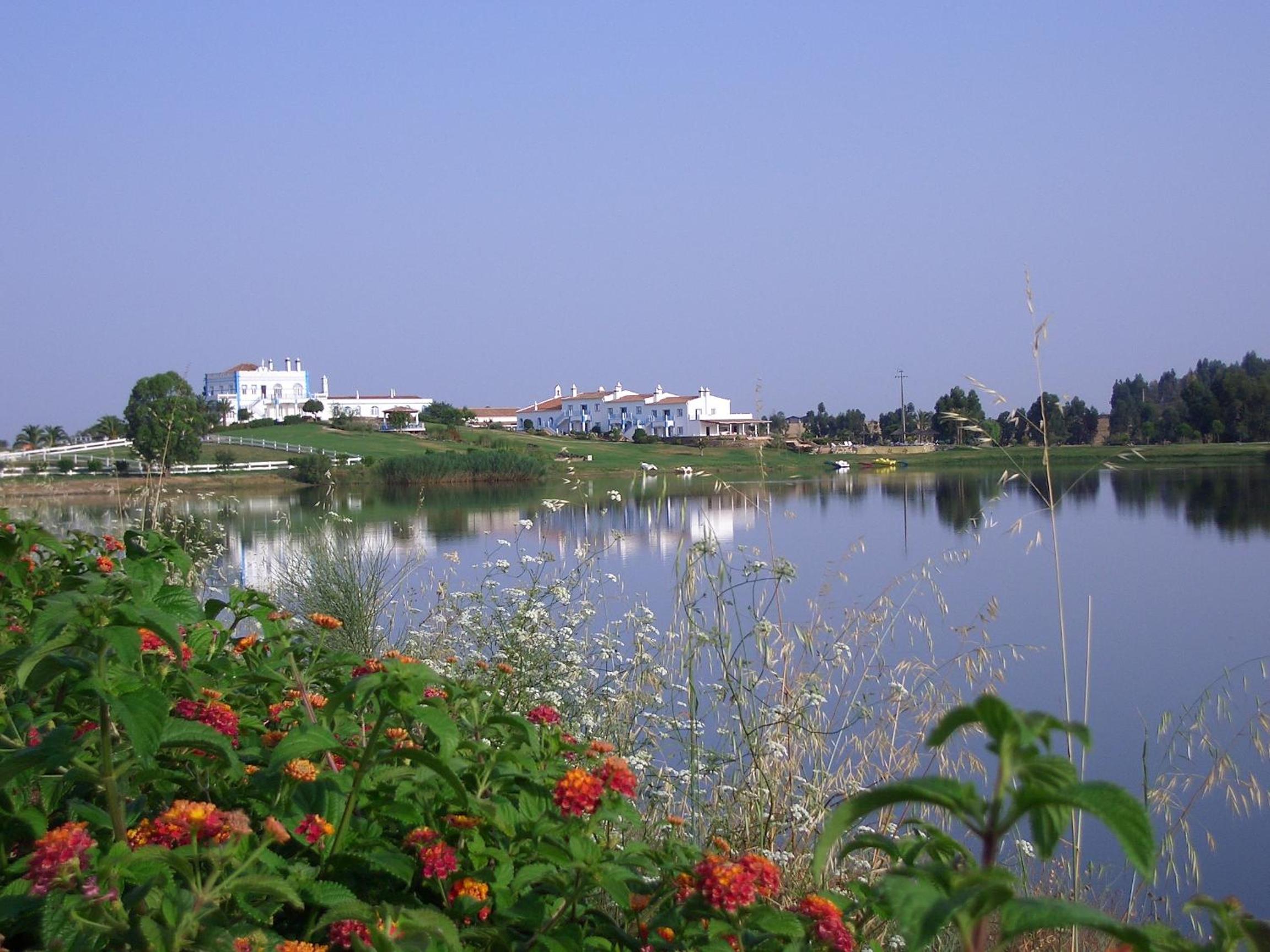Photo 46