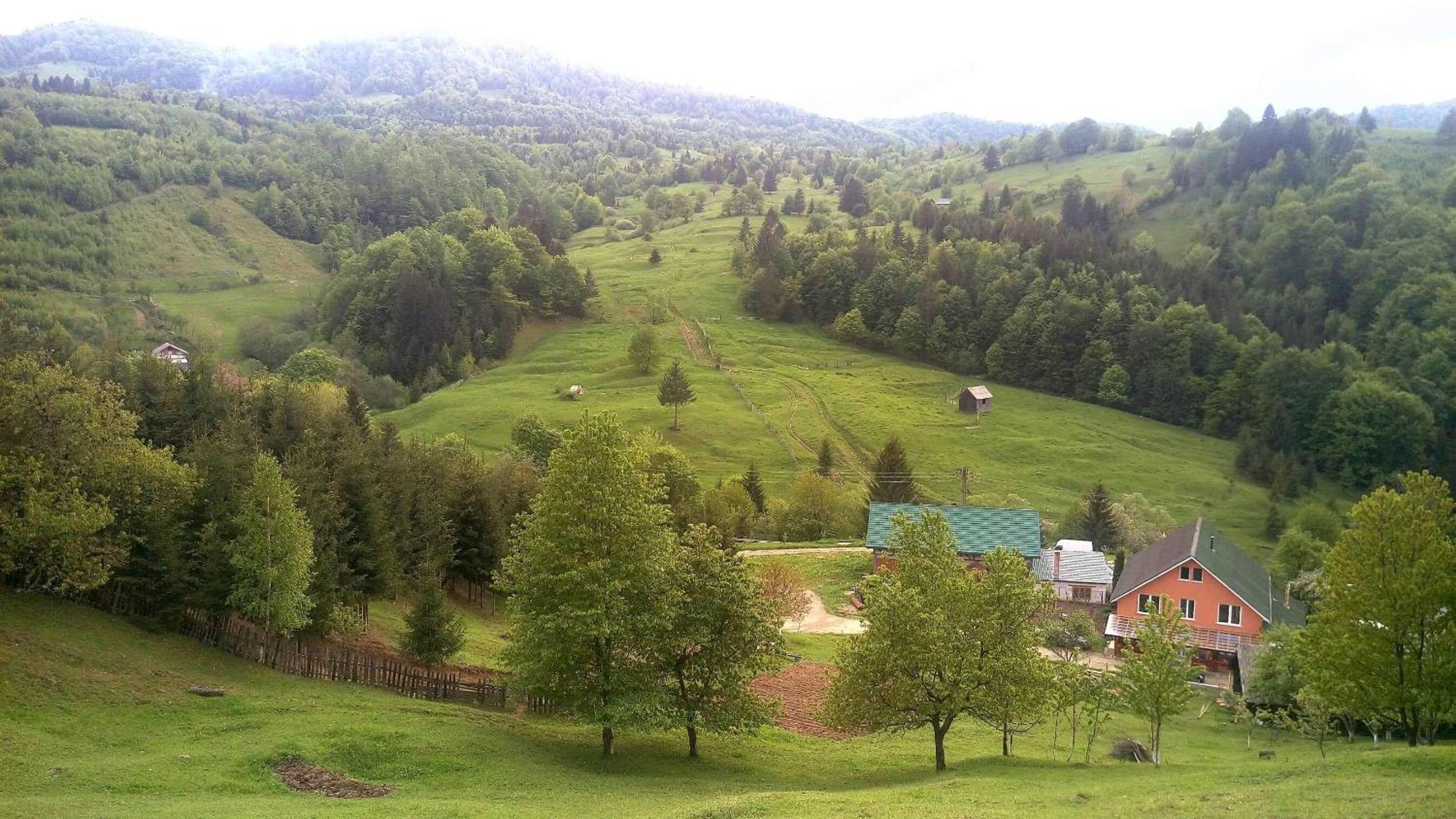 Photo 26