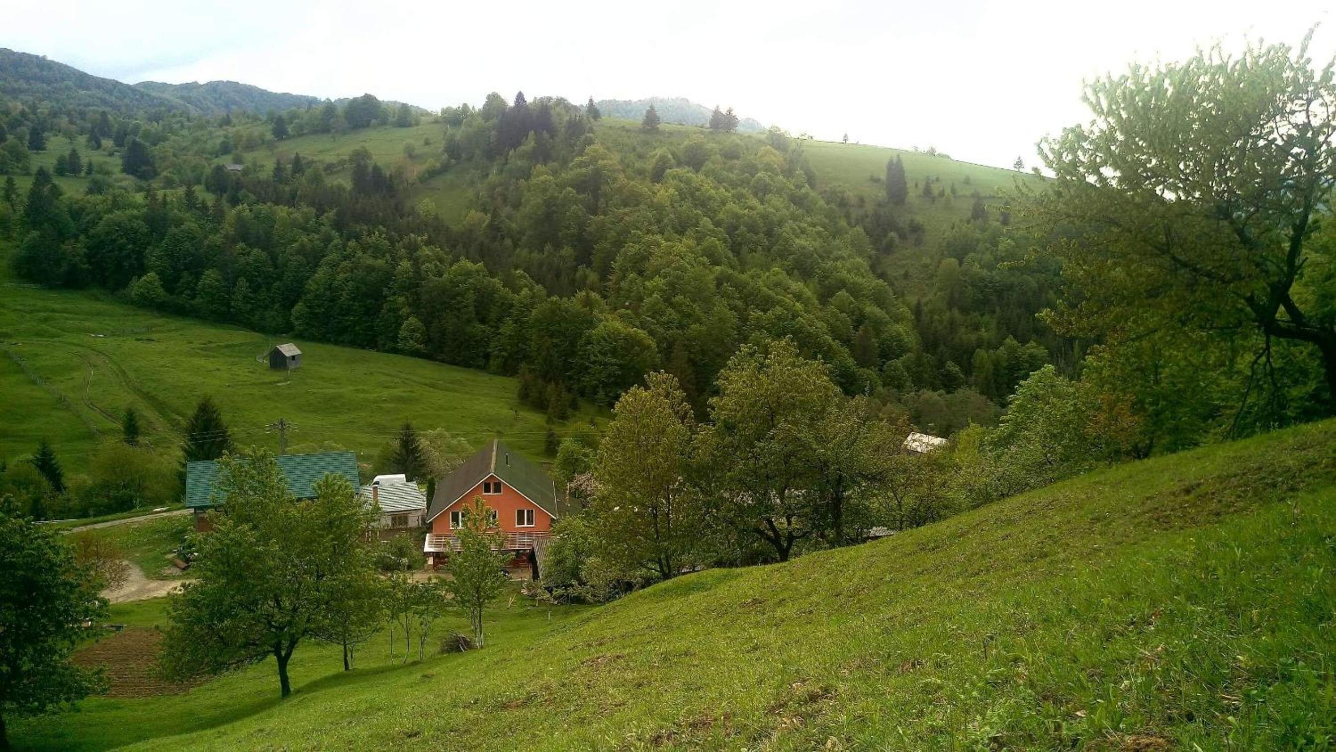 Photo 45