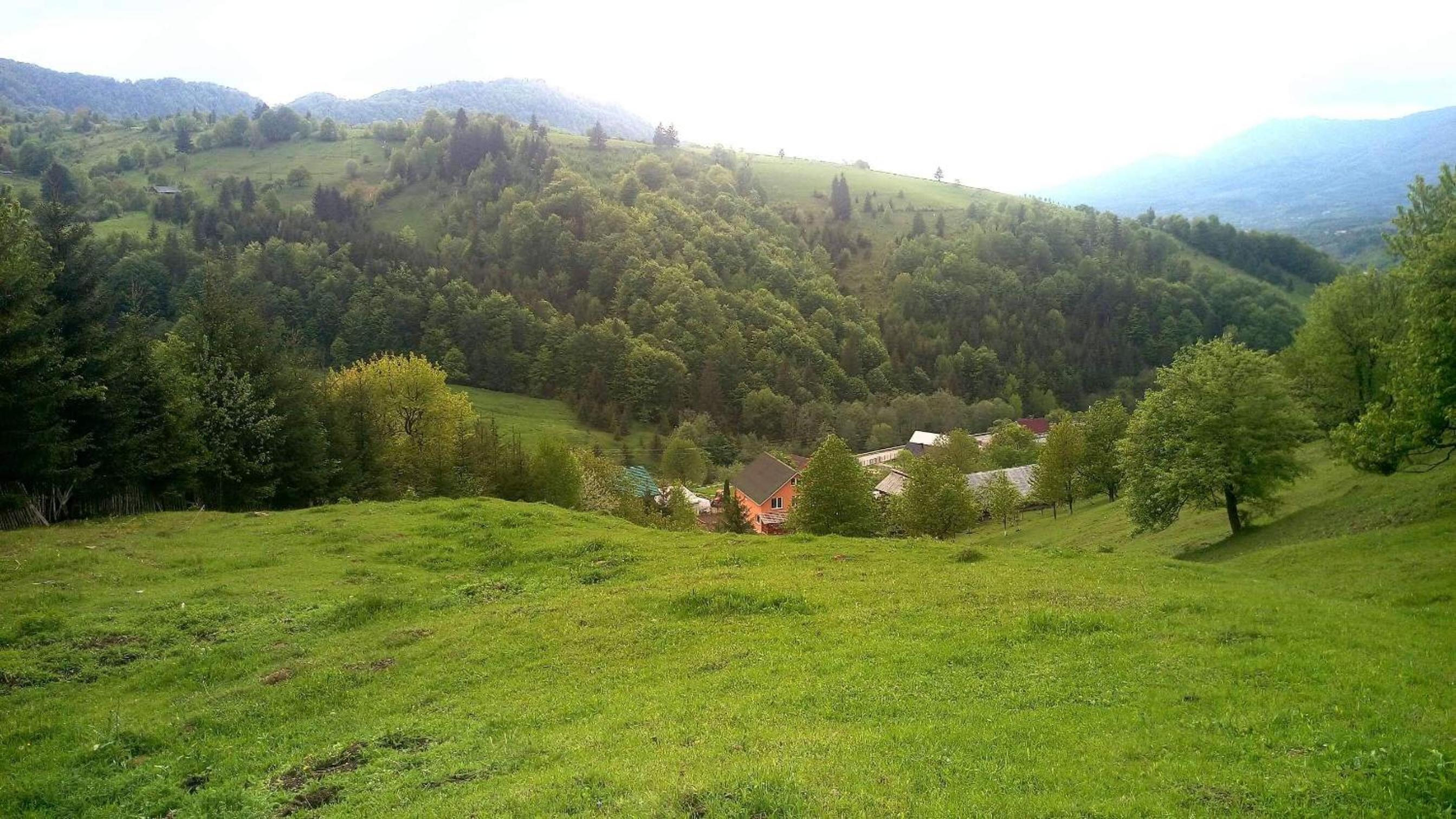 Photo 46