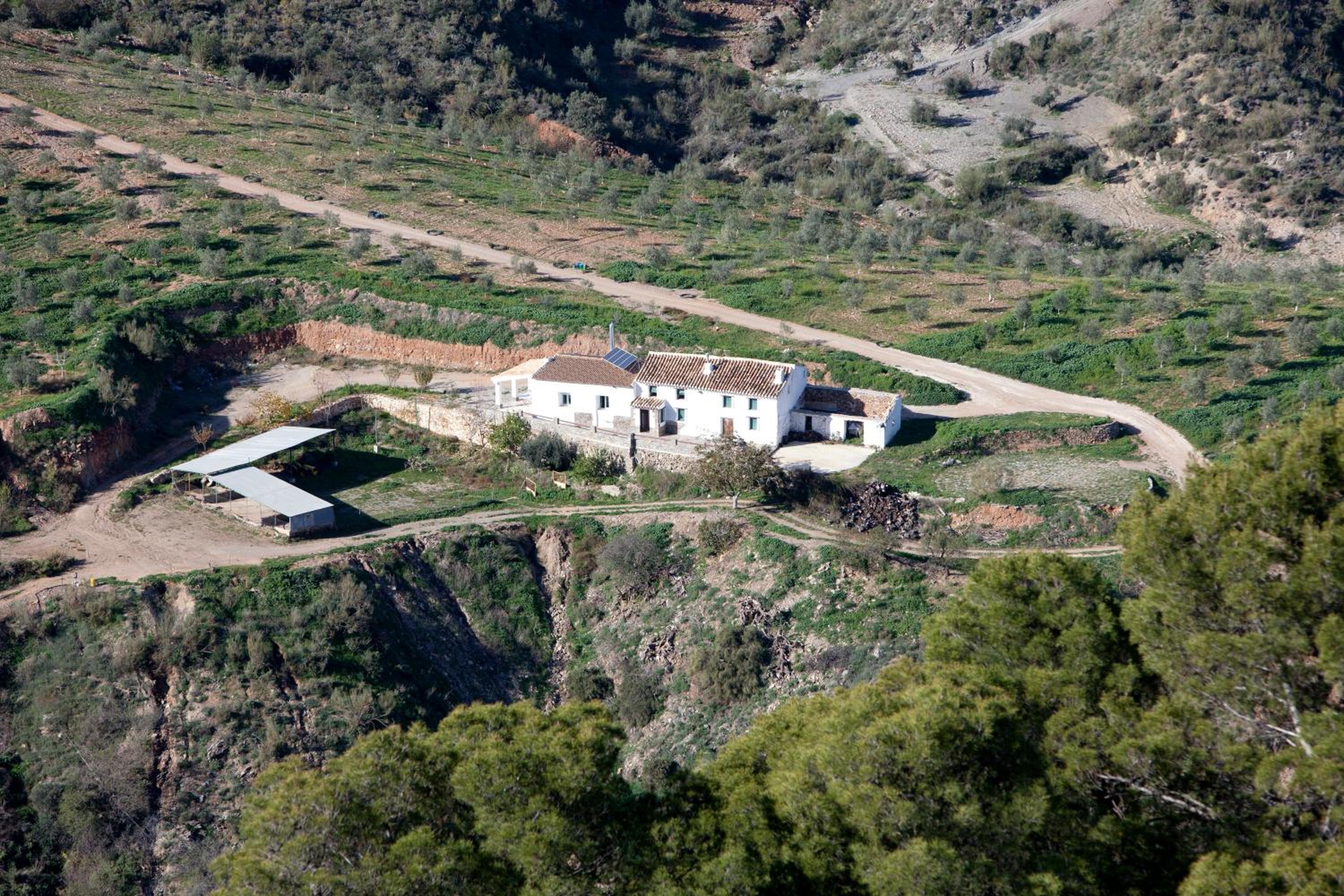 Photo 27