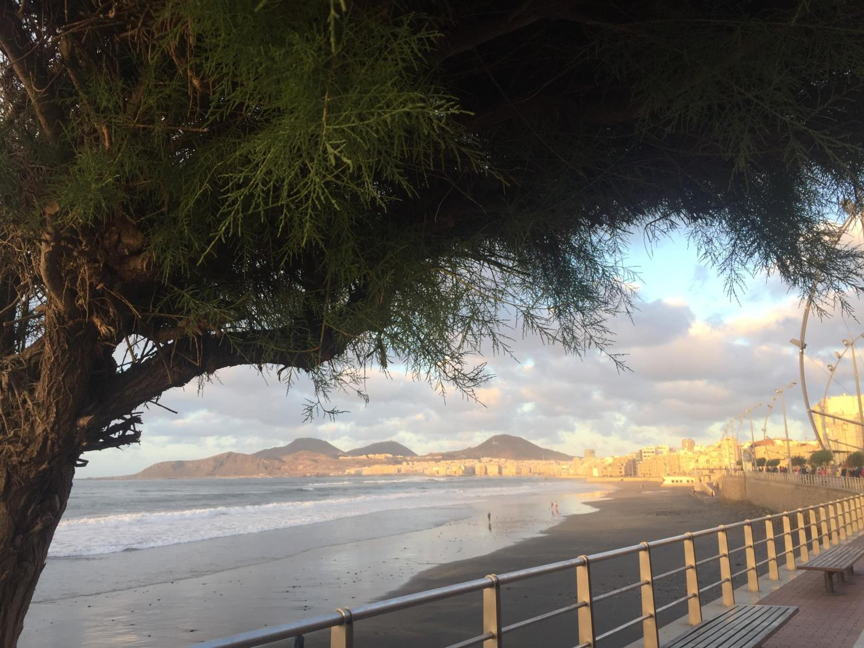 Las Canteras Beach view 4