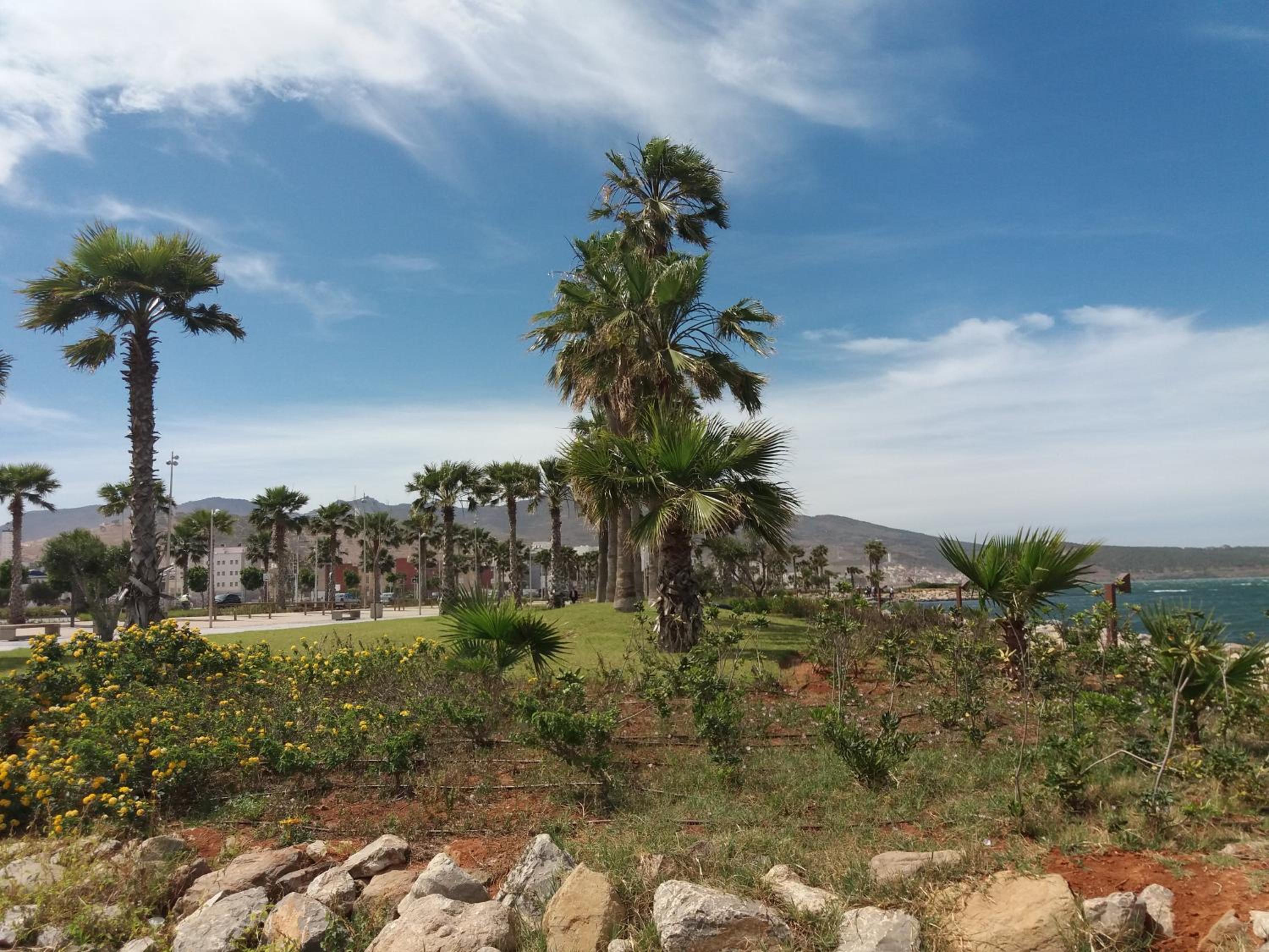 Apartamento cerca del mar view 2
