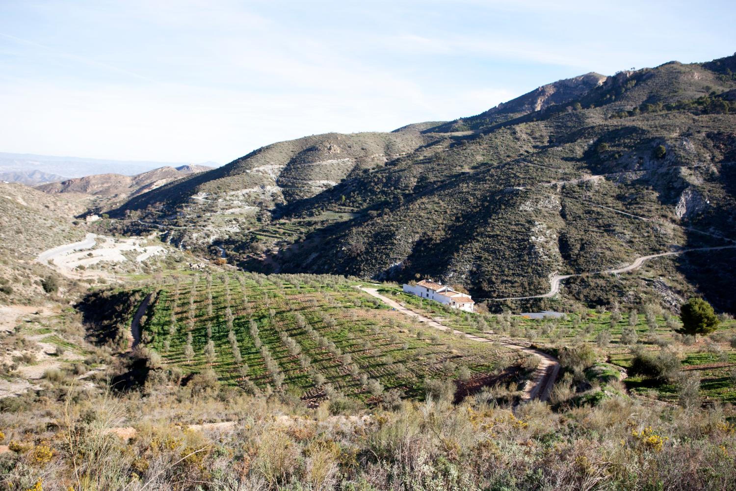 Cortijo El Rancho view 3