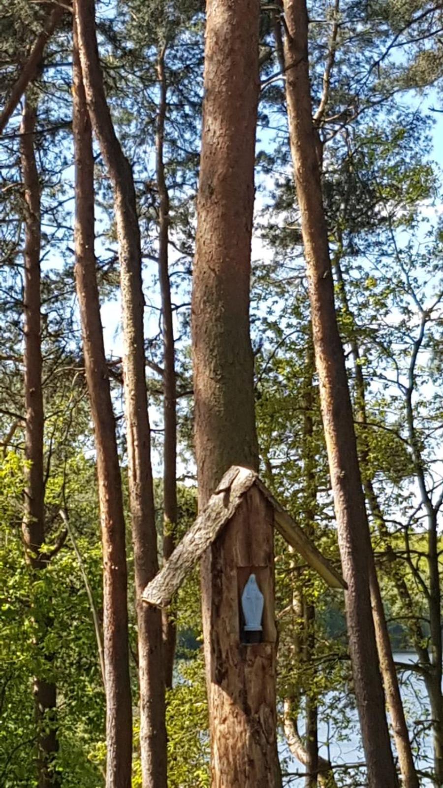 children's play area