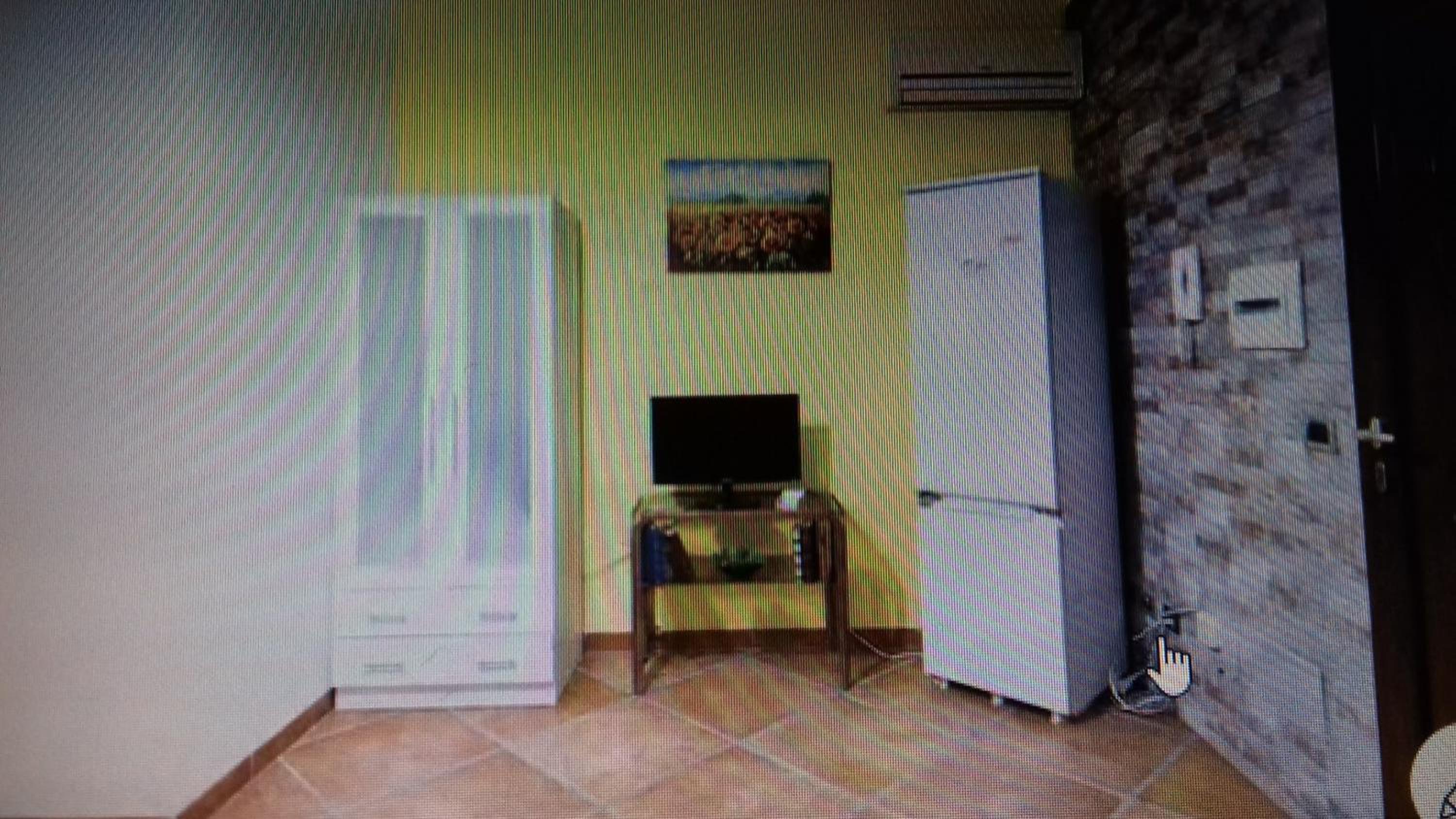 Girasole photo 5