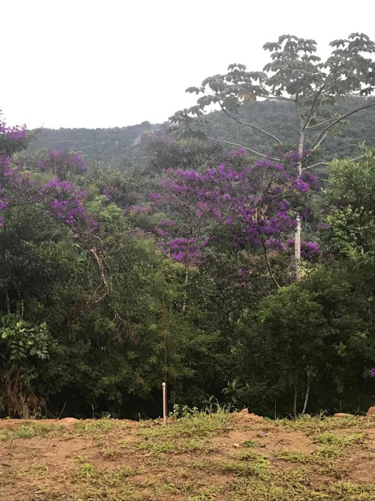 Meu cantinho na serra