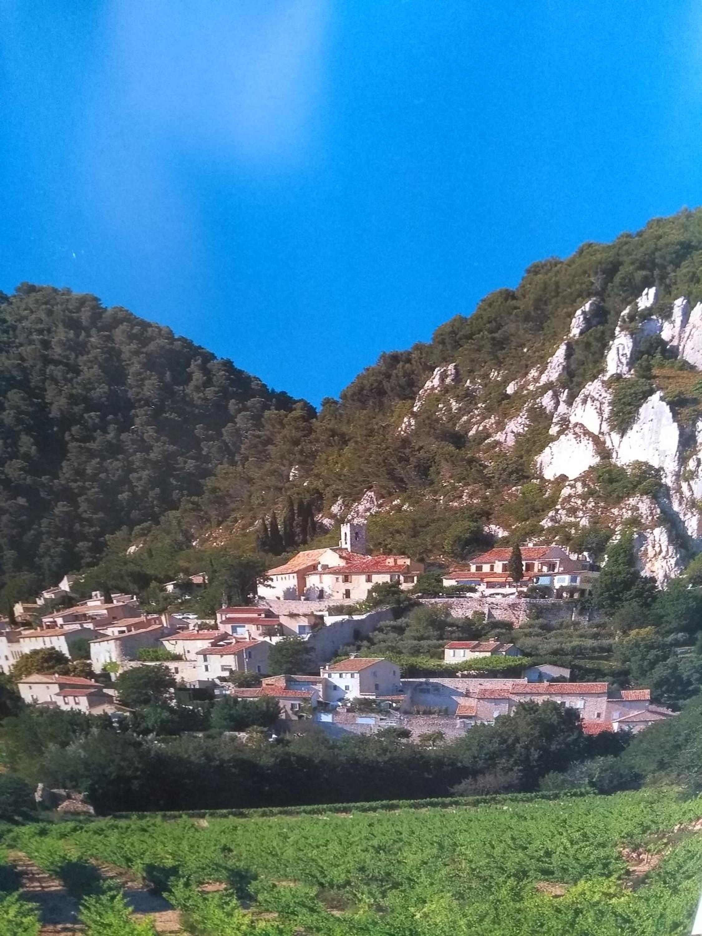 Photo 15