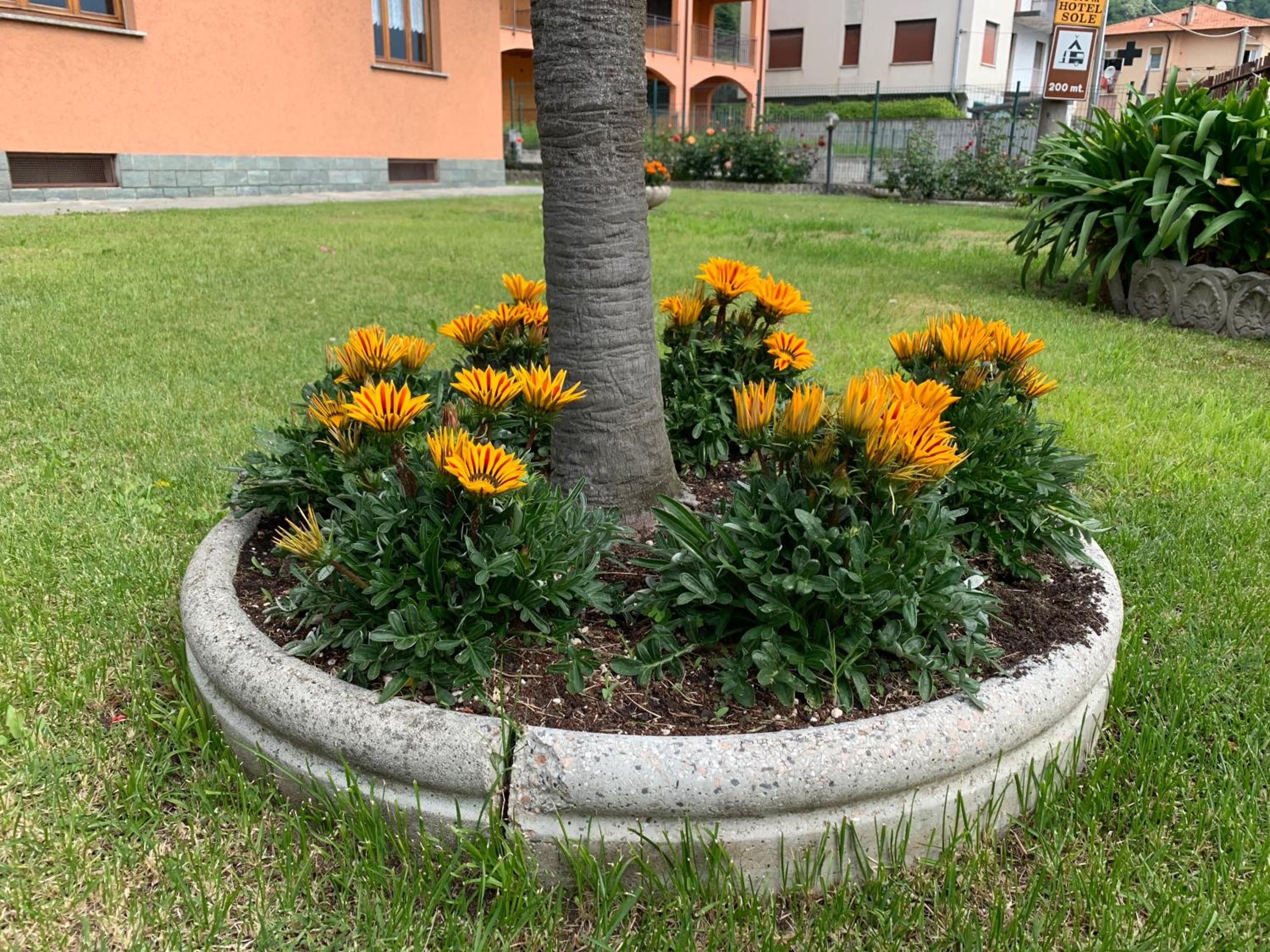 Photo 26