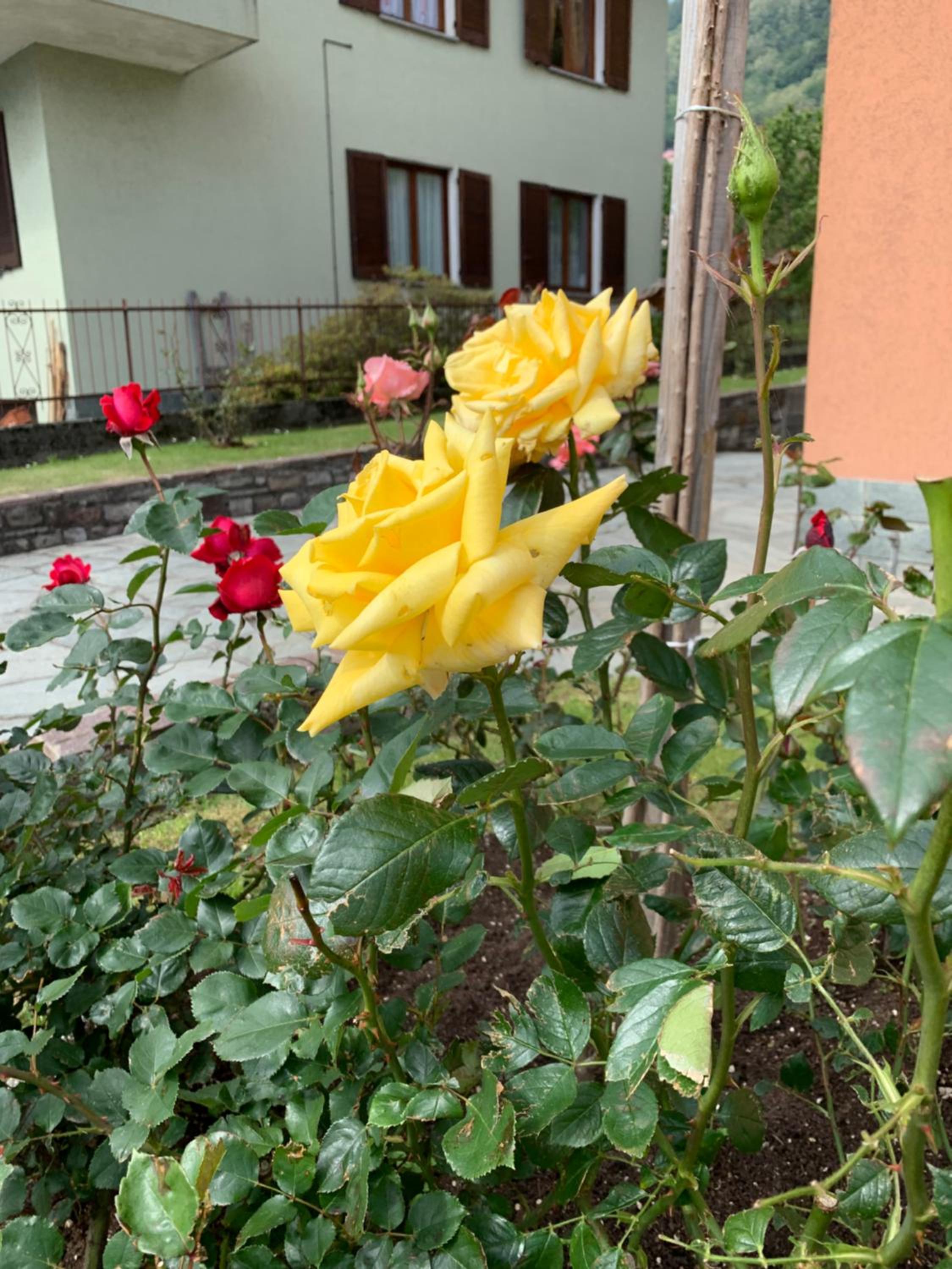 Photo 25