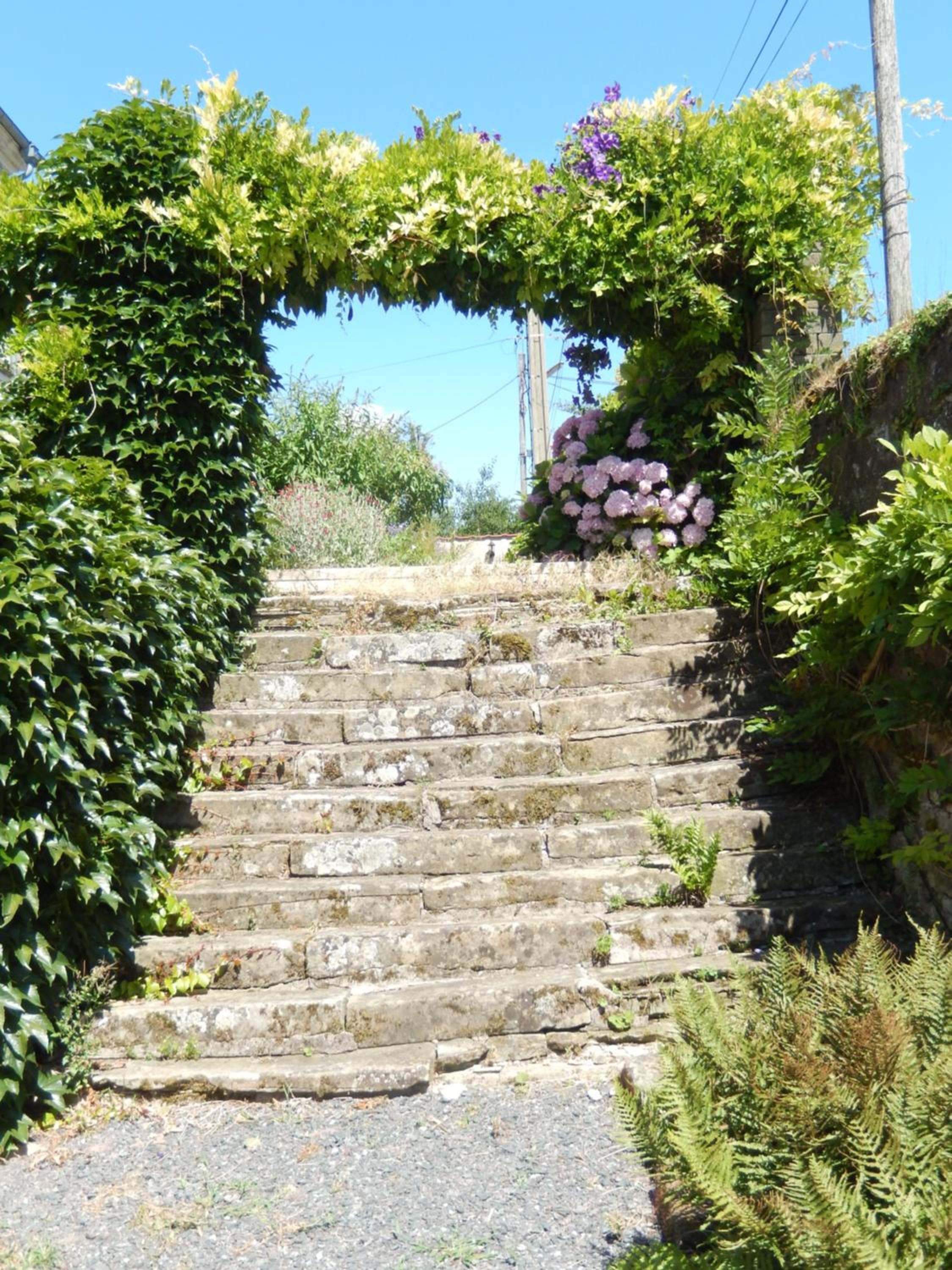 Photo 21