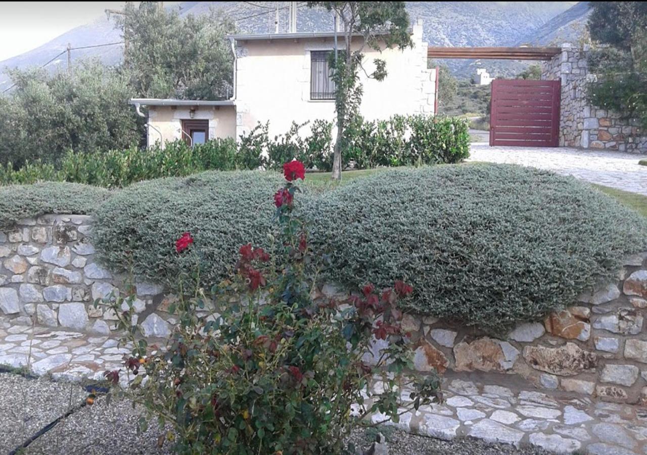 Photo 29