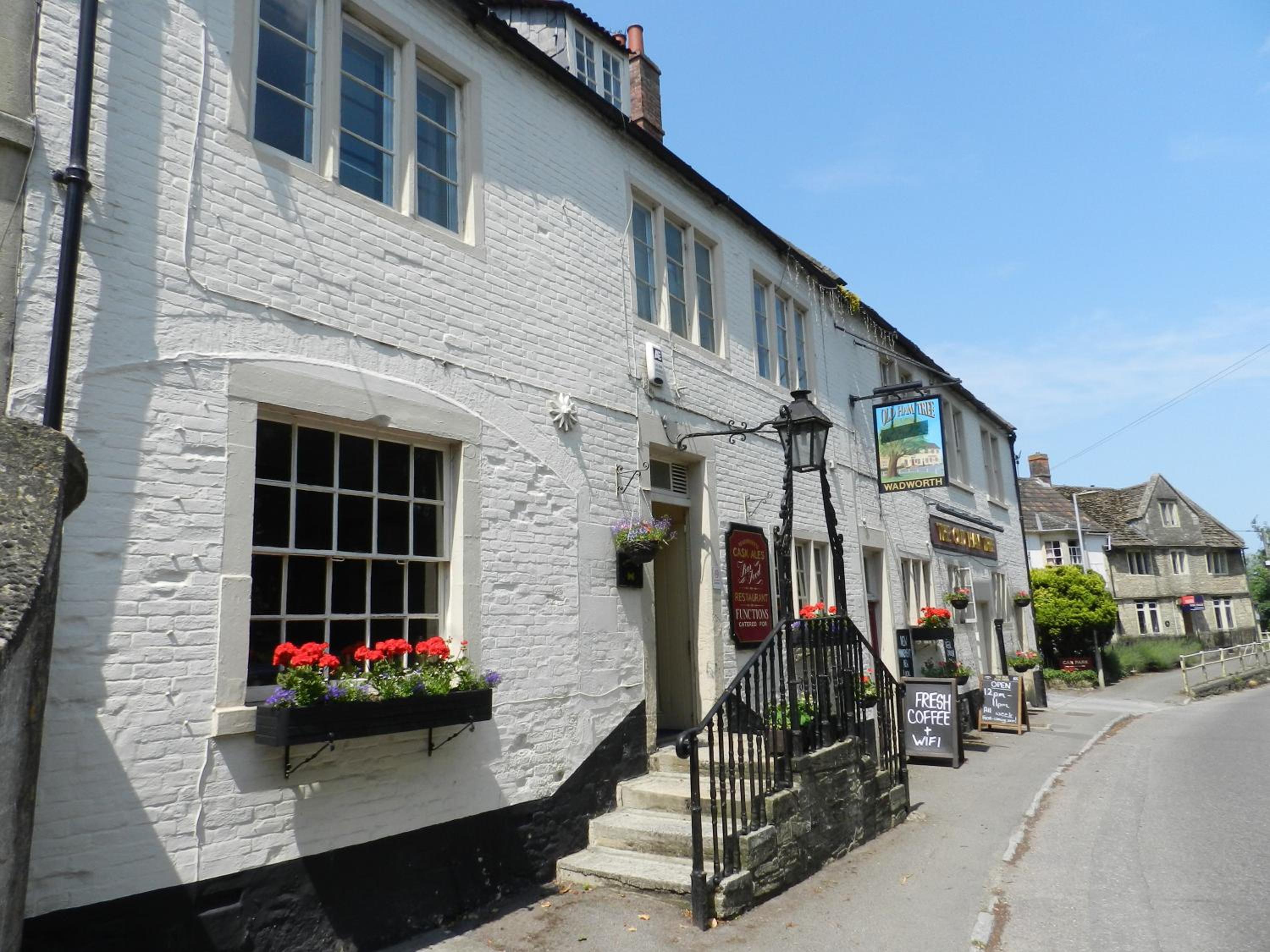 The Old Ham Tree