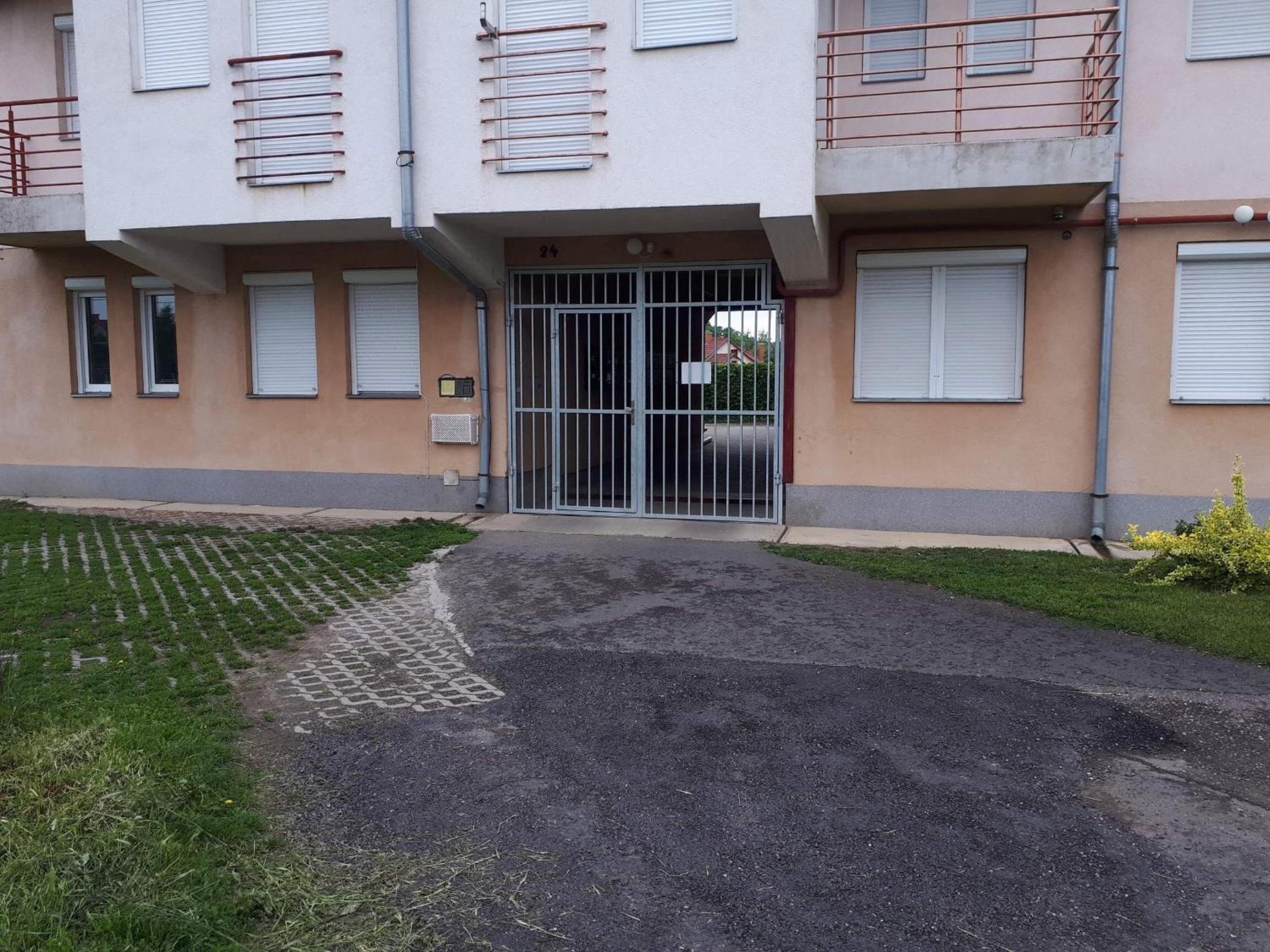 Photo 8