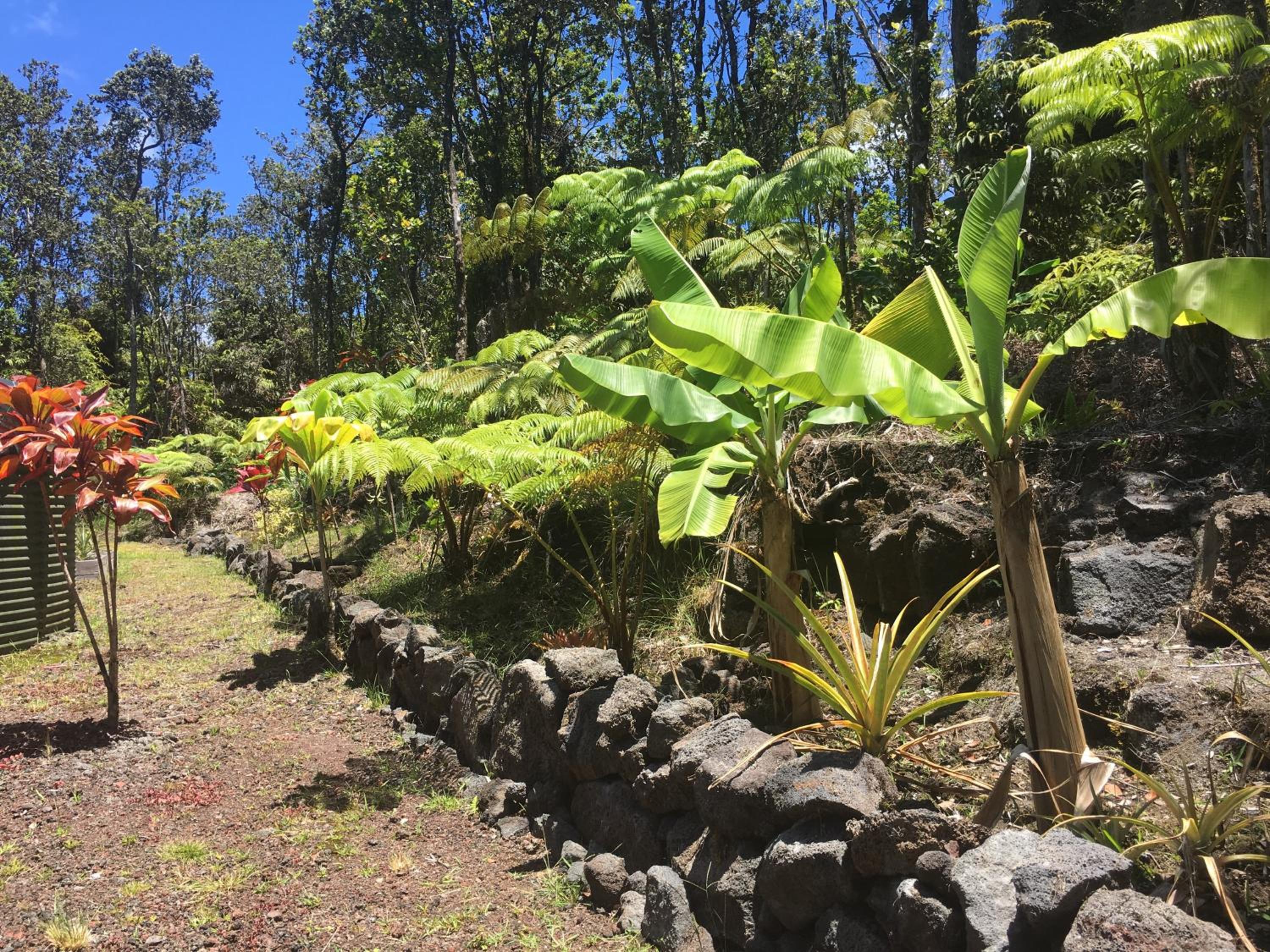 Mauna Nani view 2