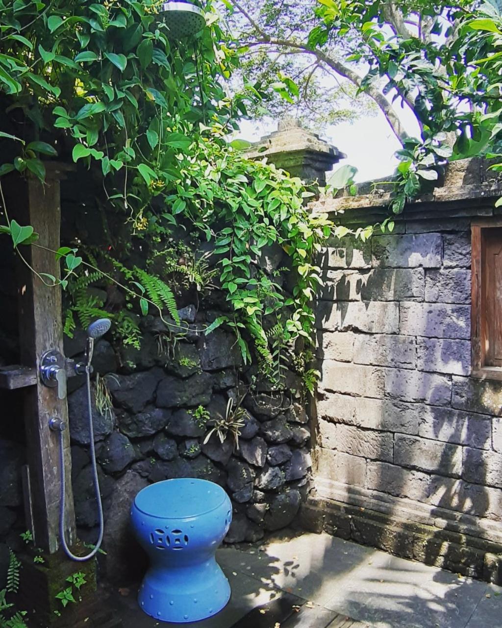 Photo 30