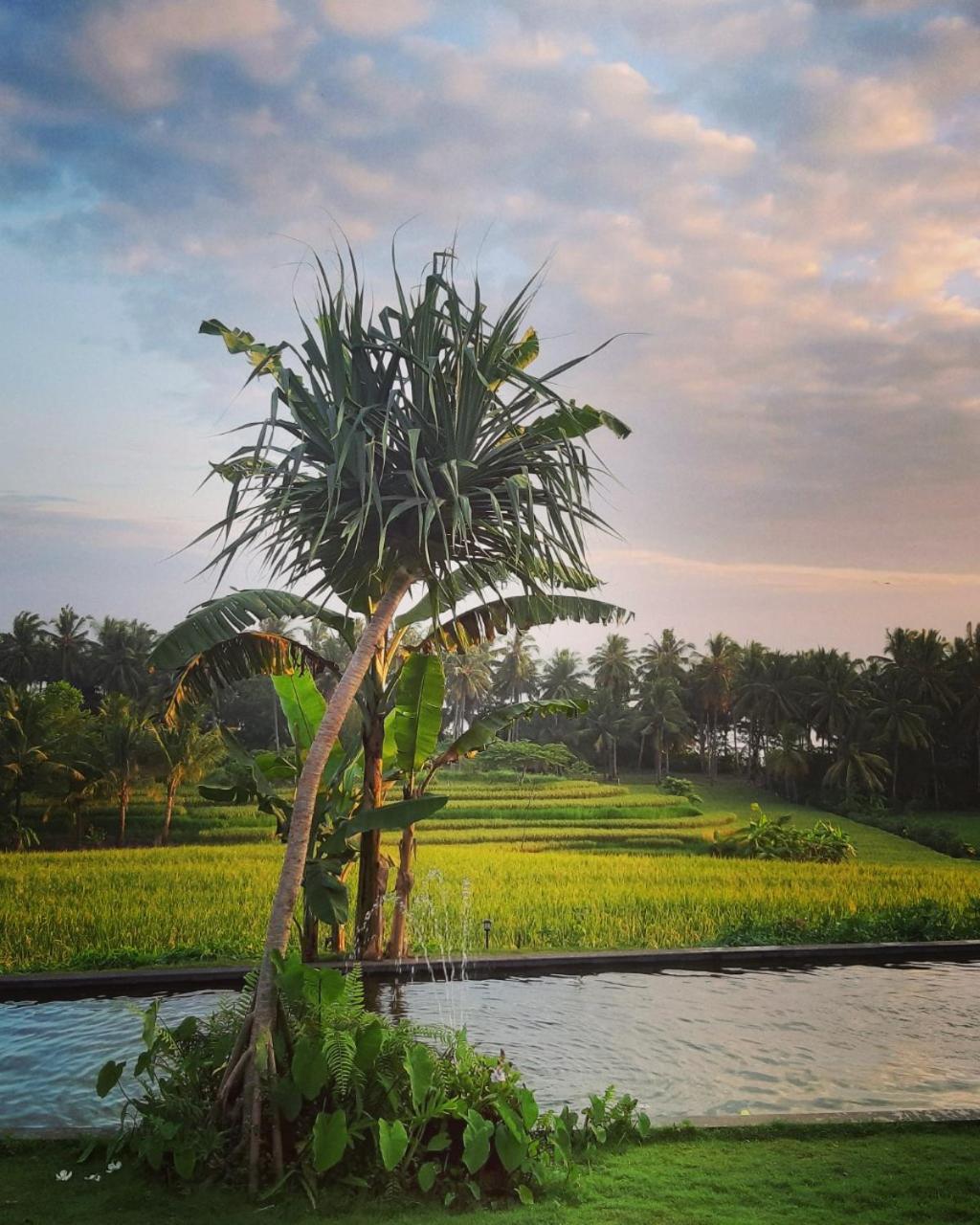 Bali Beach Eco Villas Pondok Matekap view 4