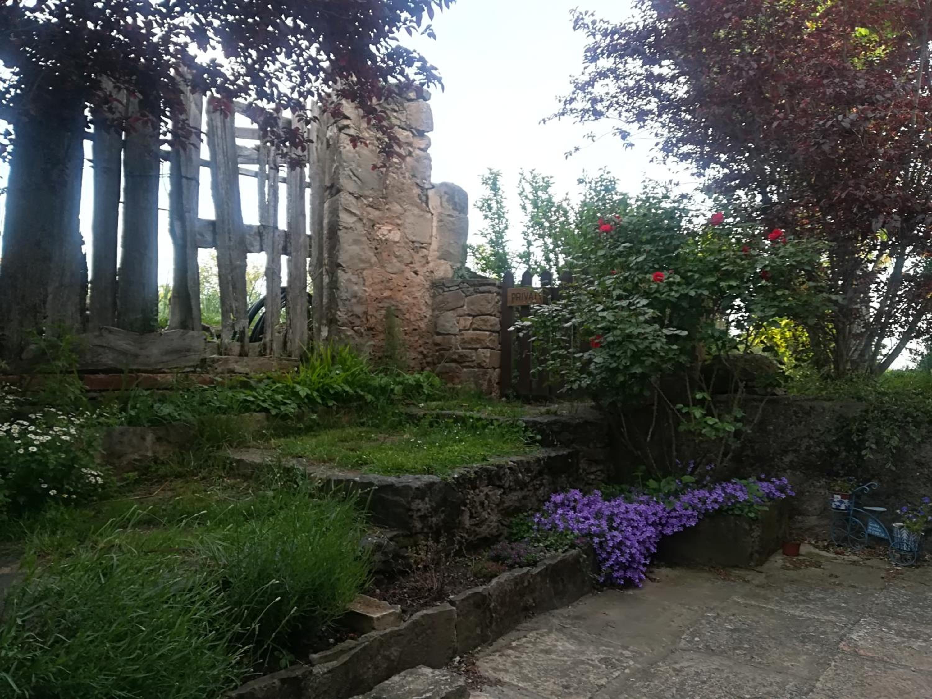 Photo 24