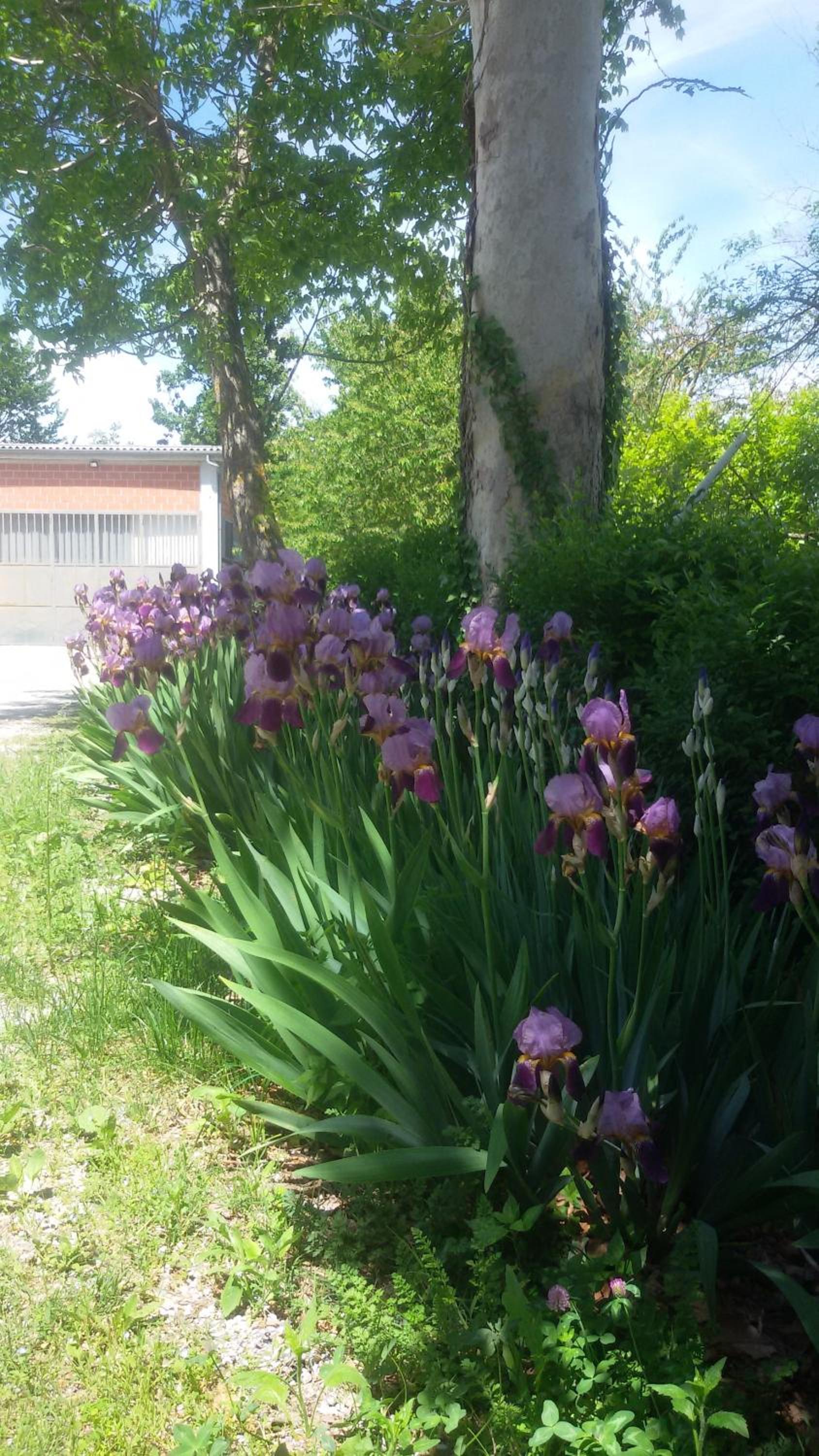 other