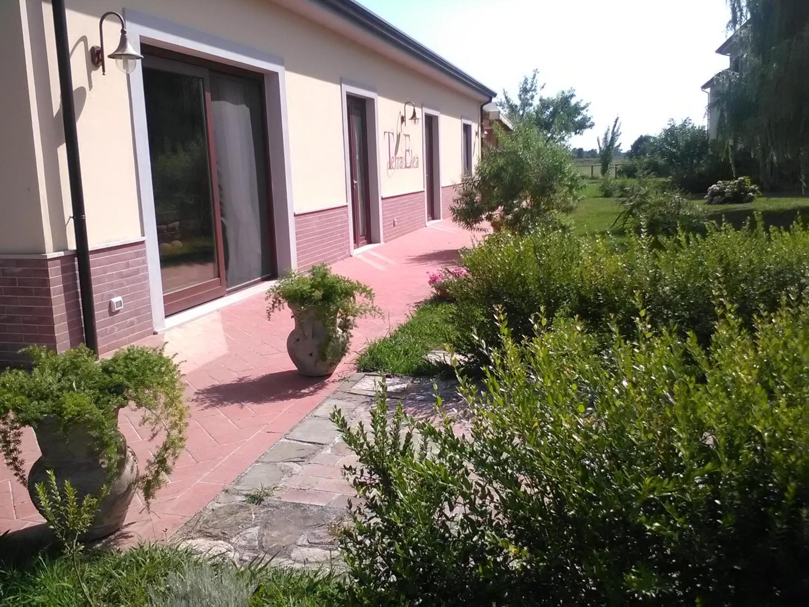 Agriturismo Terra Di Elea azienda agricola di Raimondo MIchela