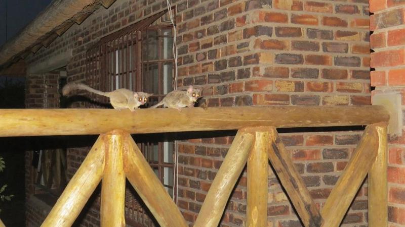 Photo 22