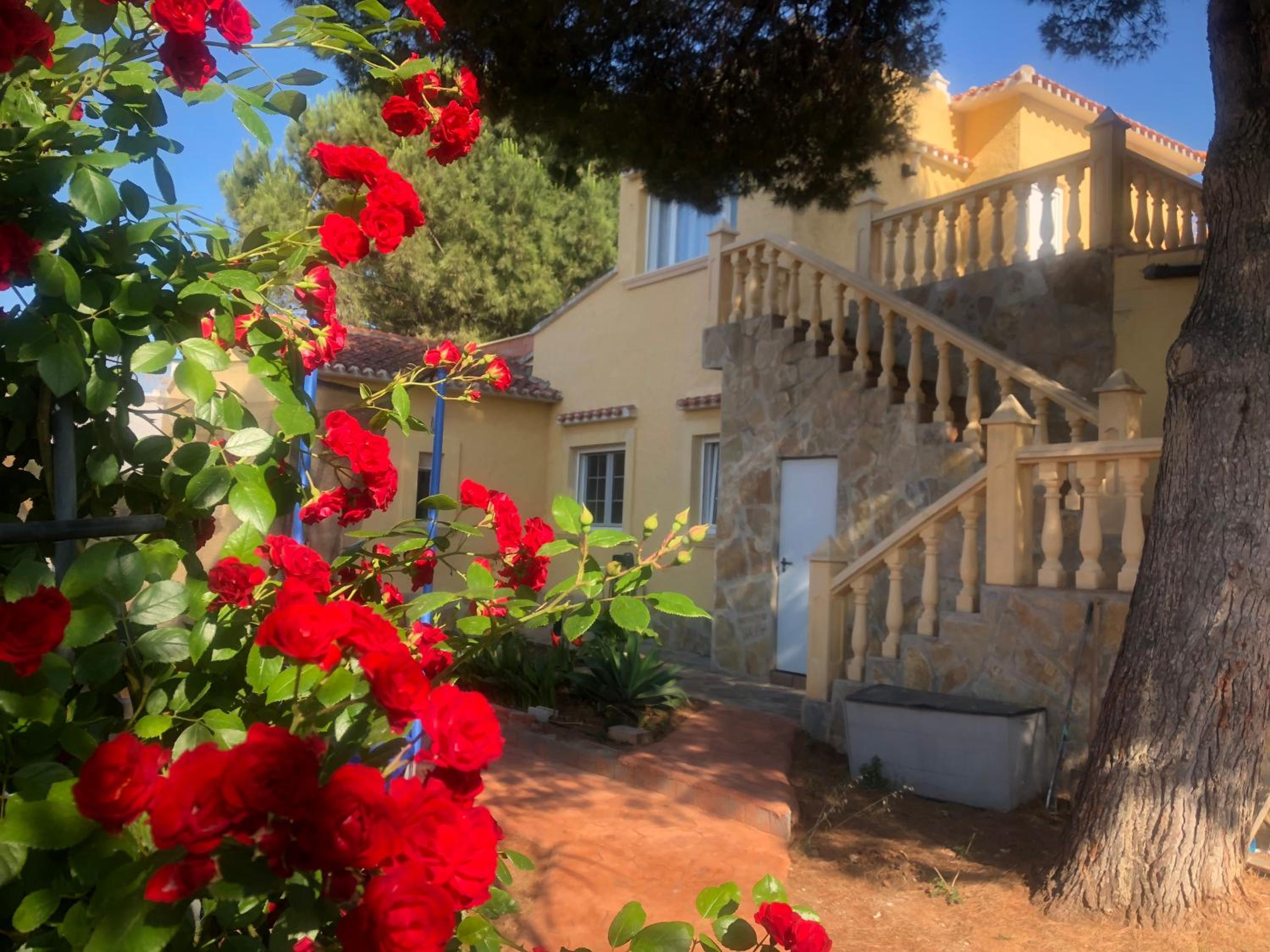 Villa Eliza