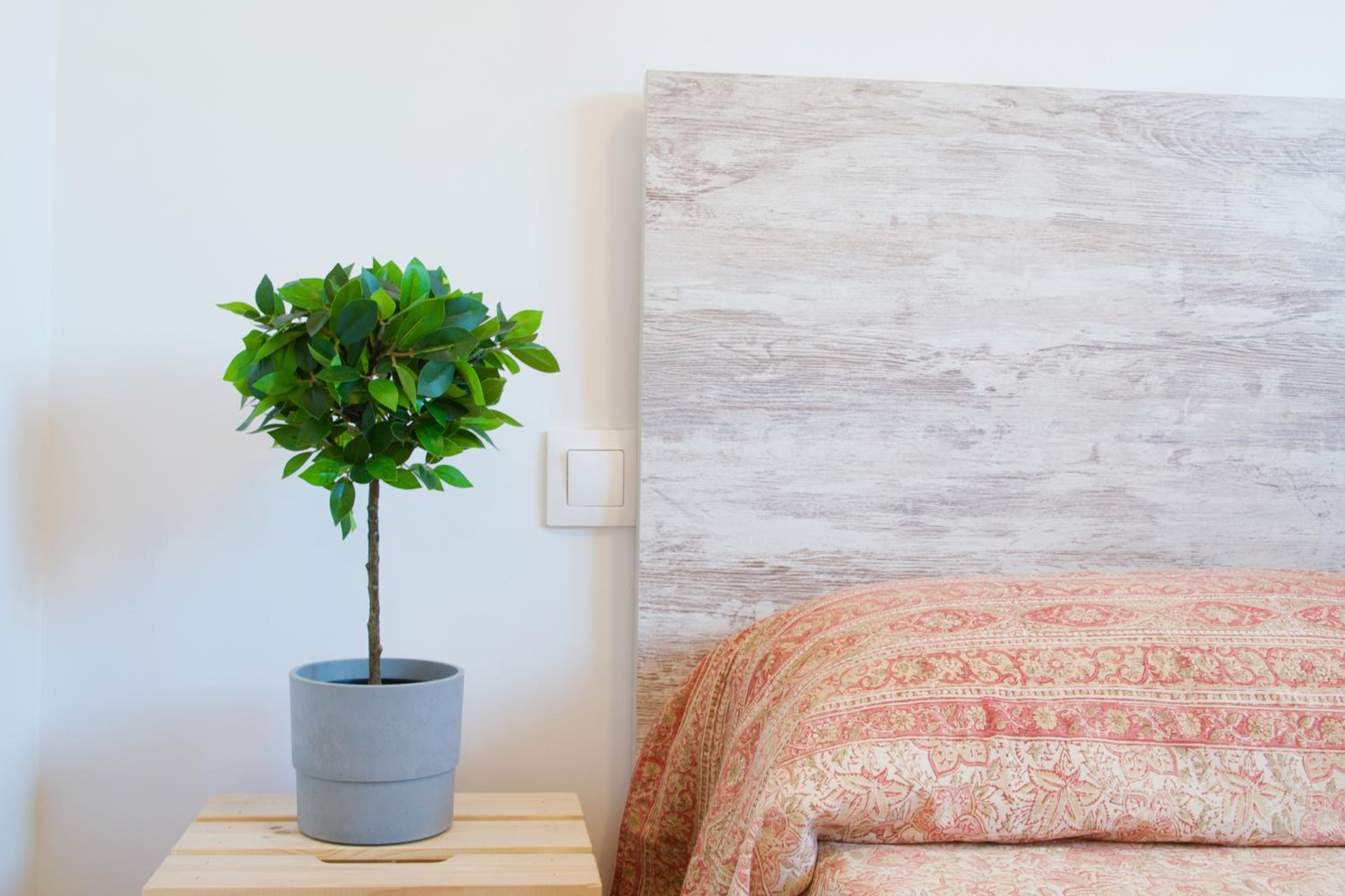 MalagaUrbanRooms - Beach & Sea