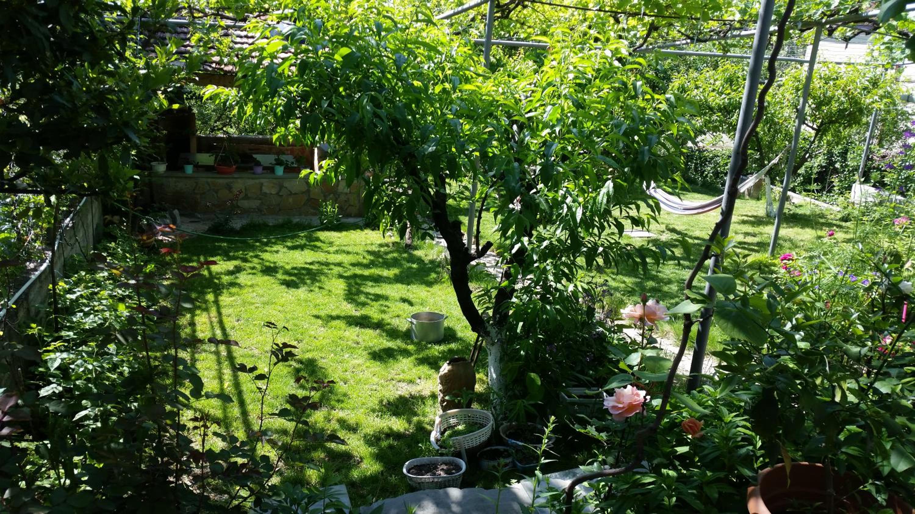 Photo 29