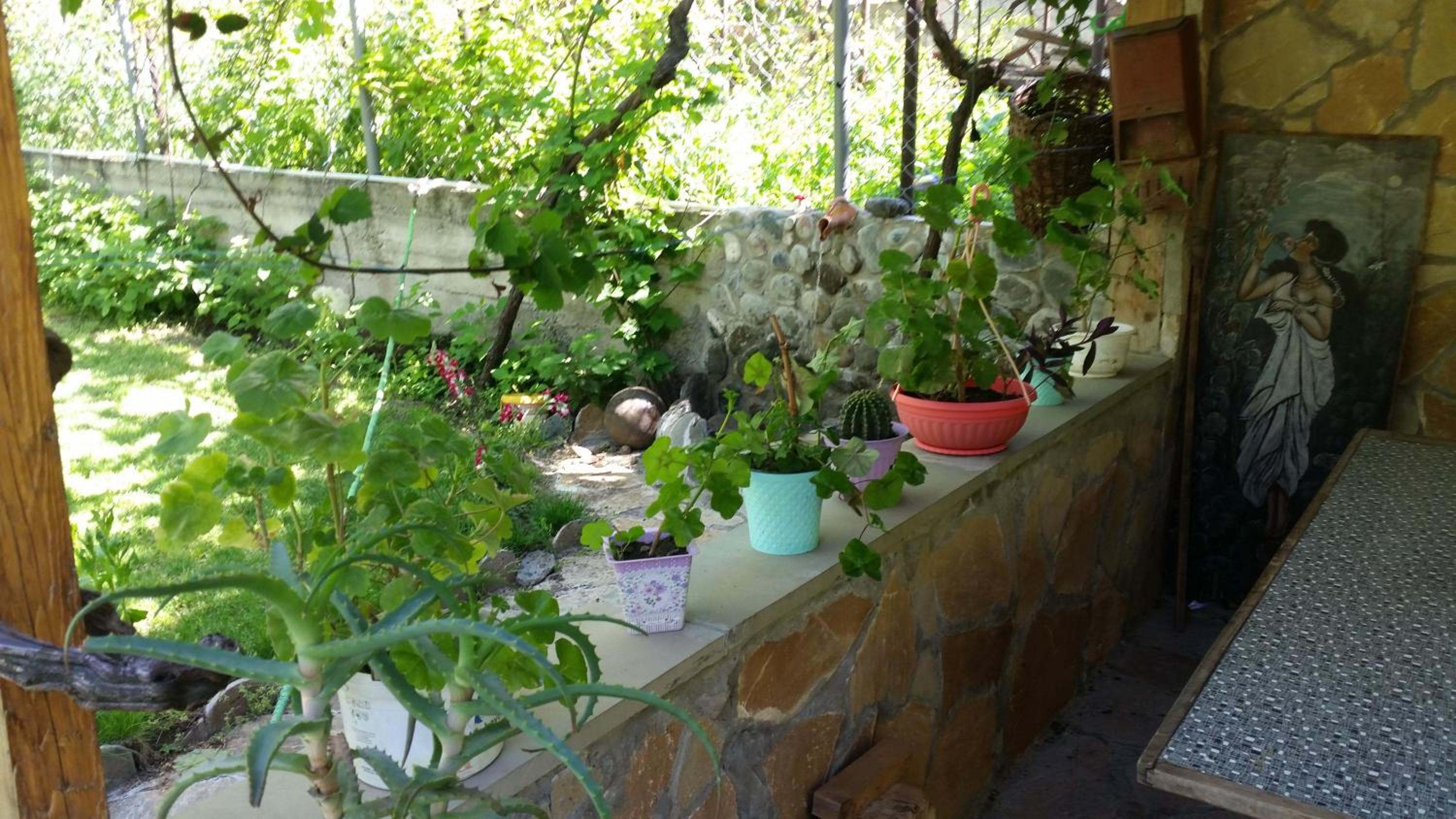Photo 33