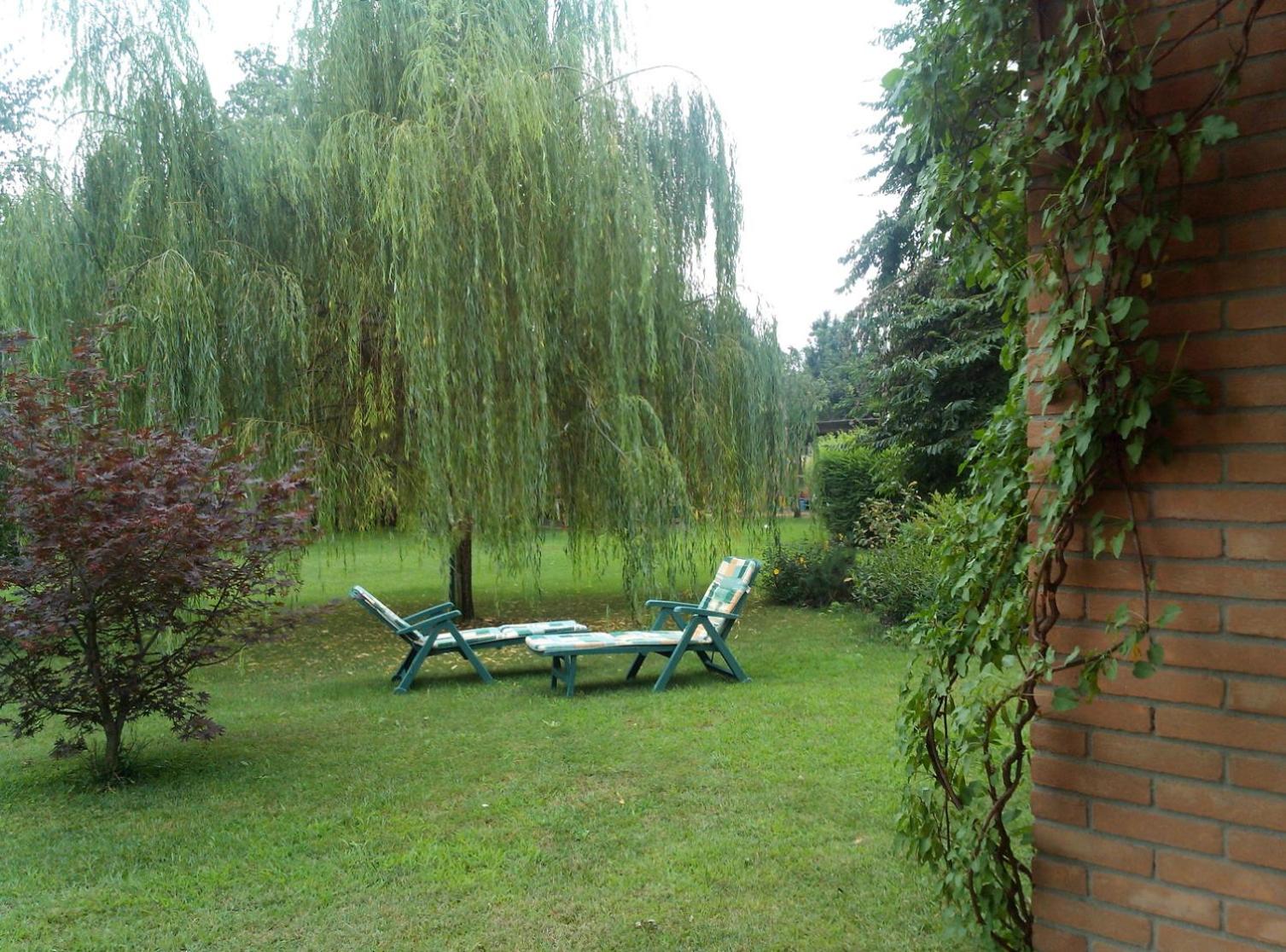 Photo 34