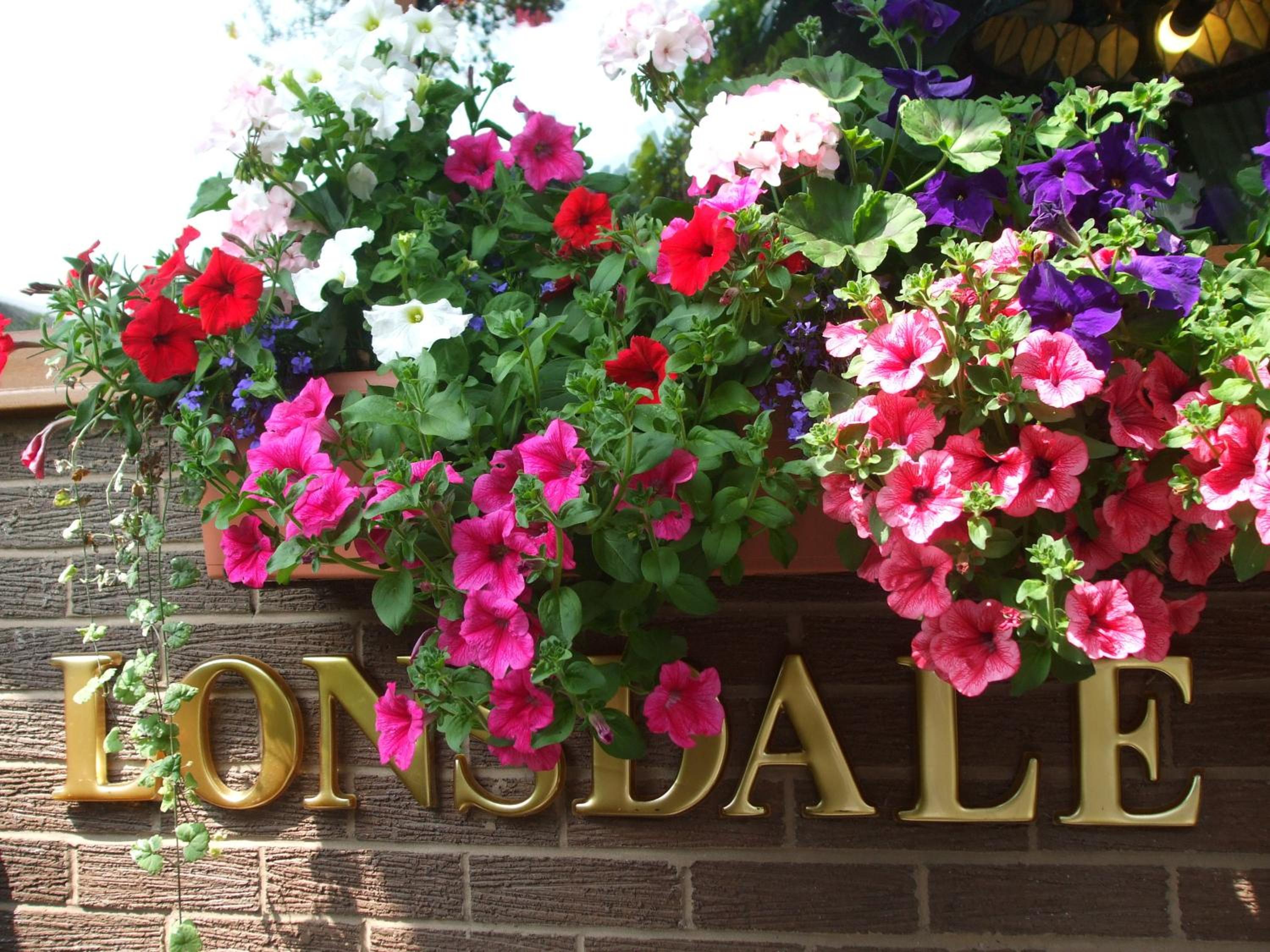 The Lonsdale