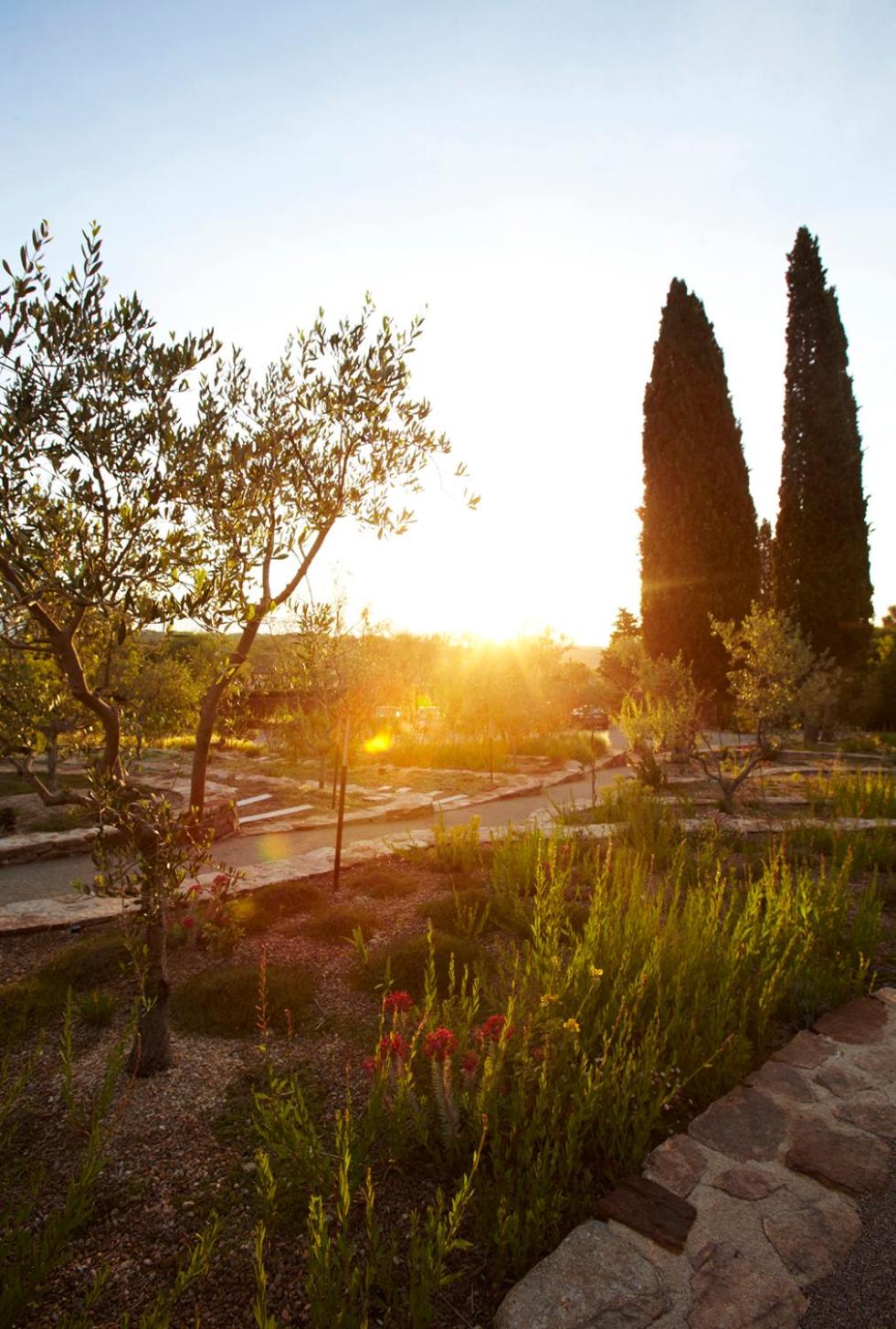 garden