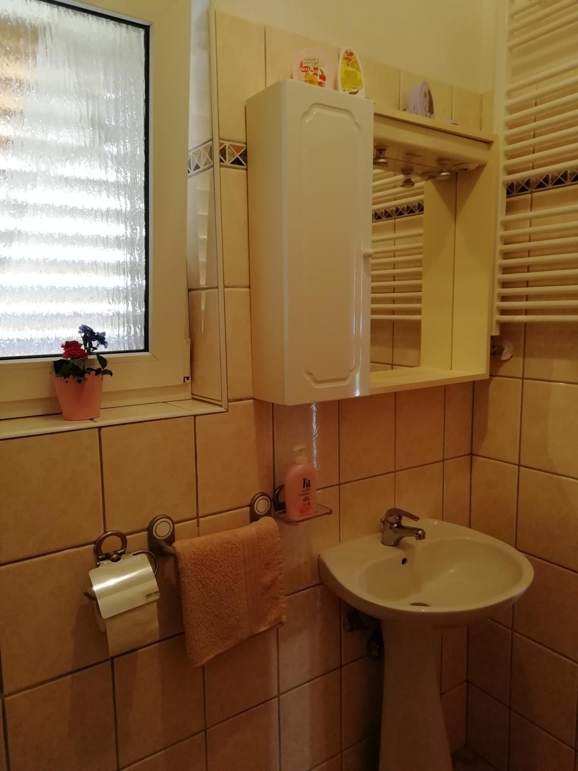Apartmani Vesna