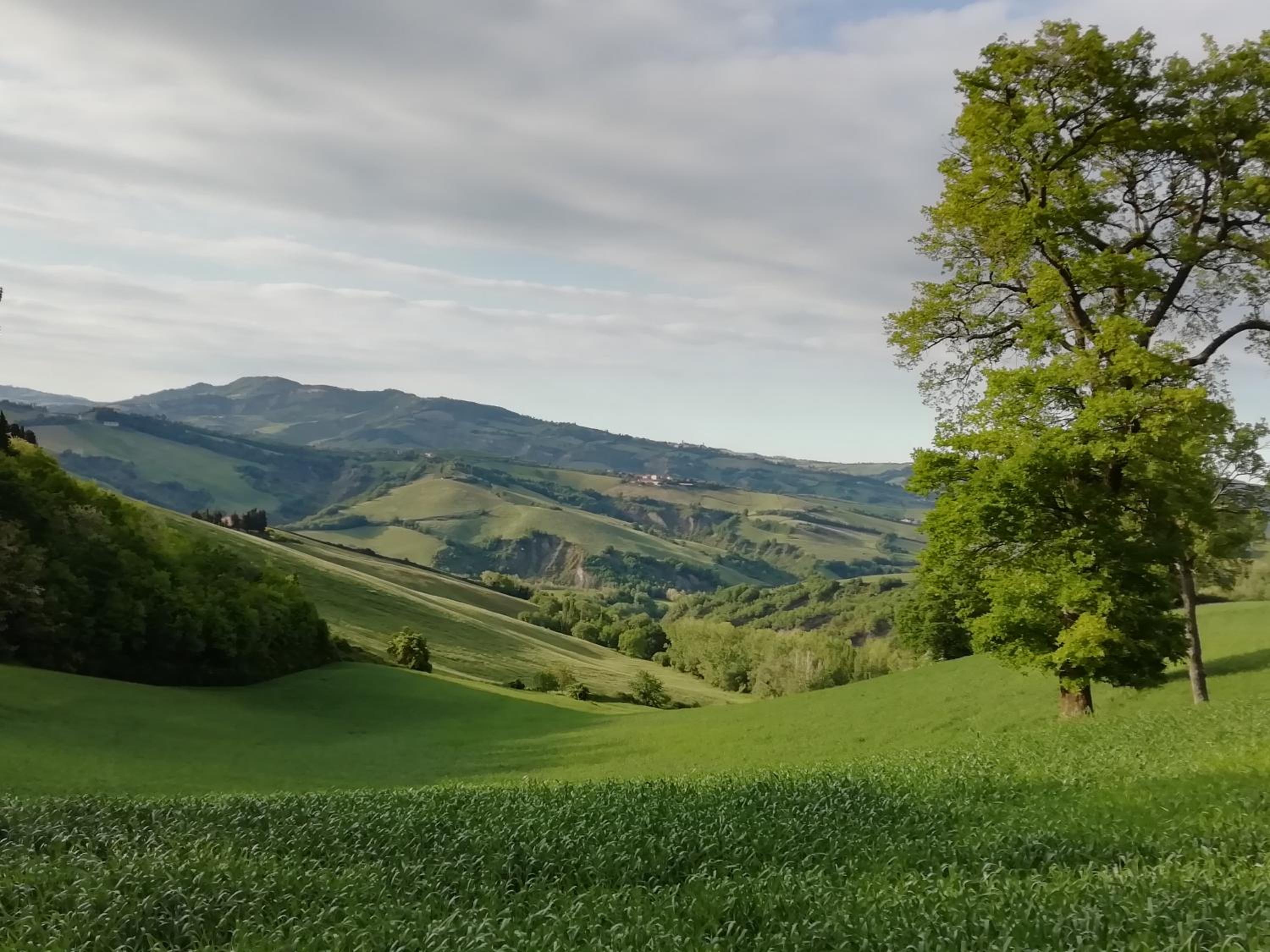 B&B Cà Giovanni Country Resort Pet Friendly