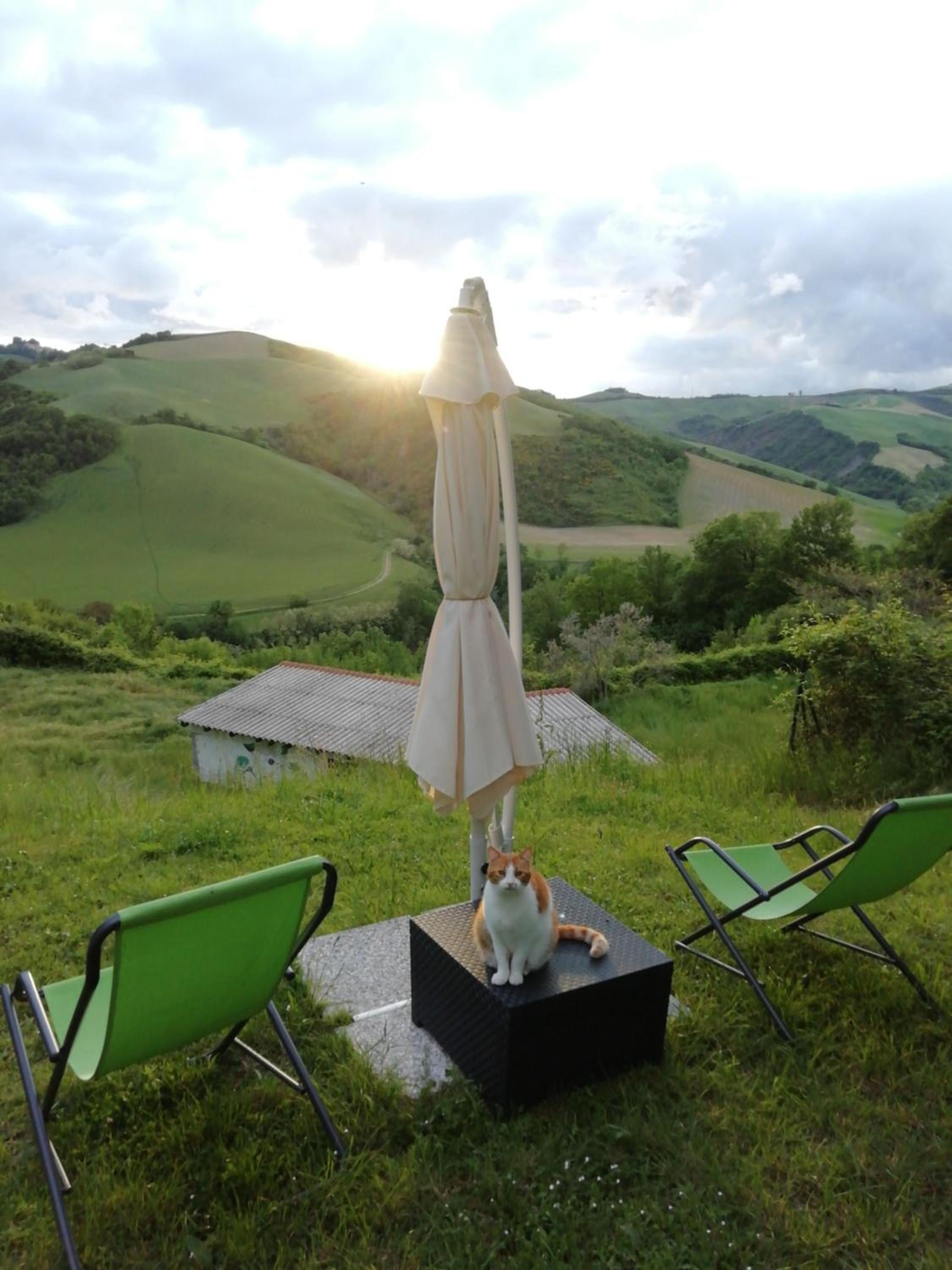 B&B Cà Giovanni Country Resort Pet Friendly