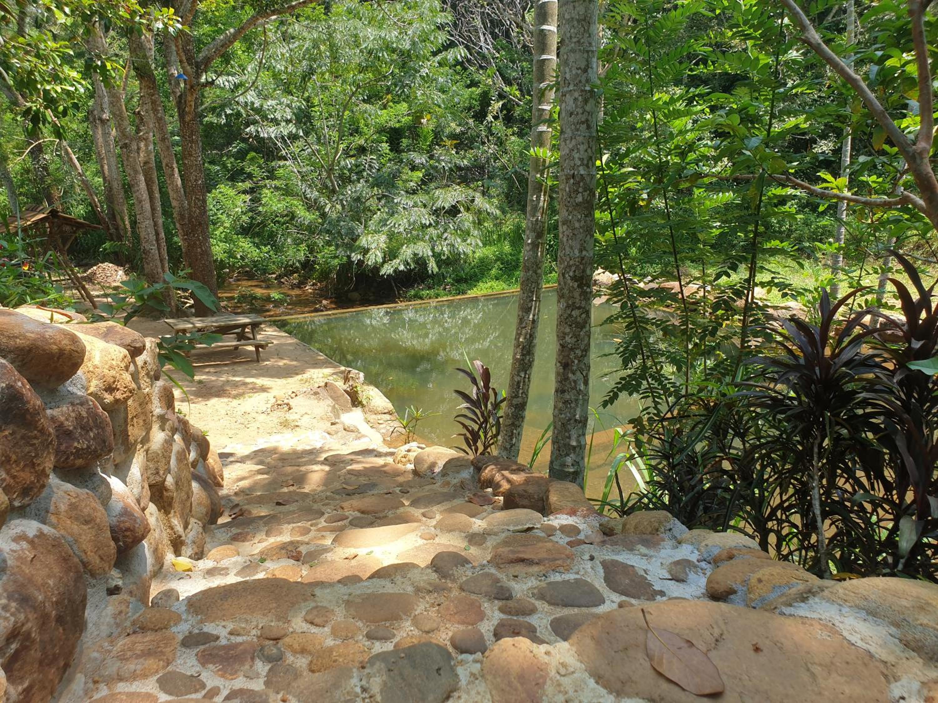Photo 8
