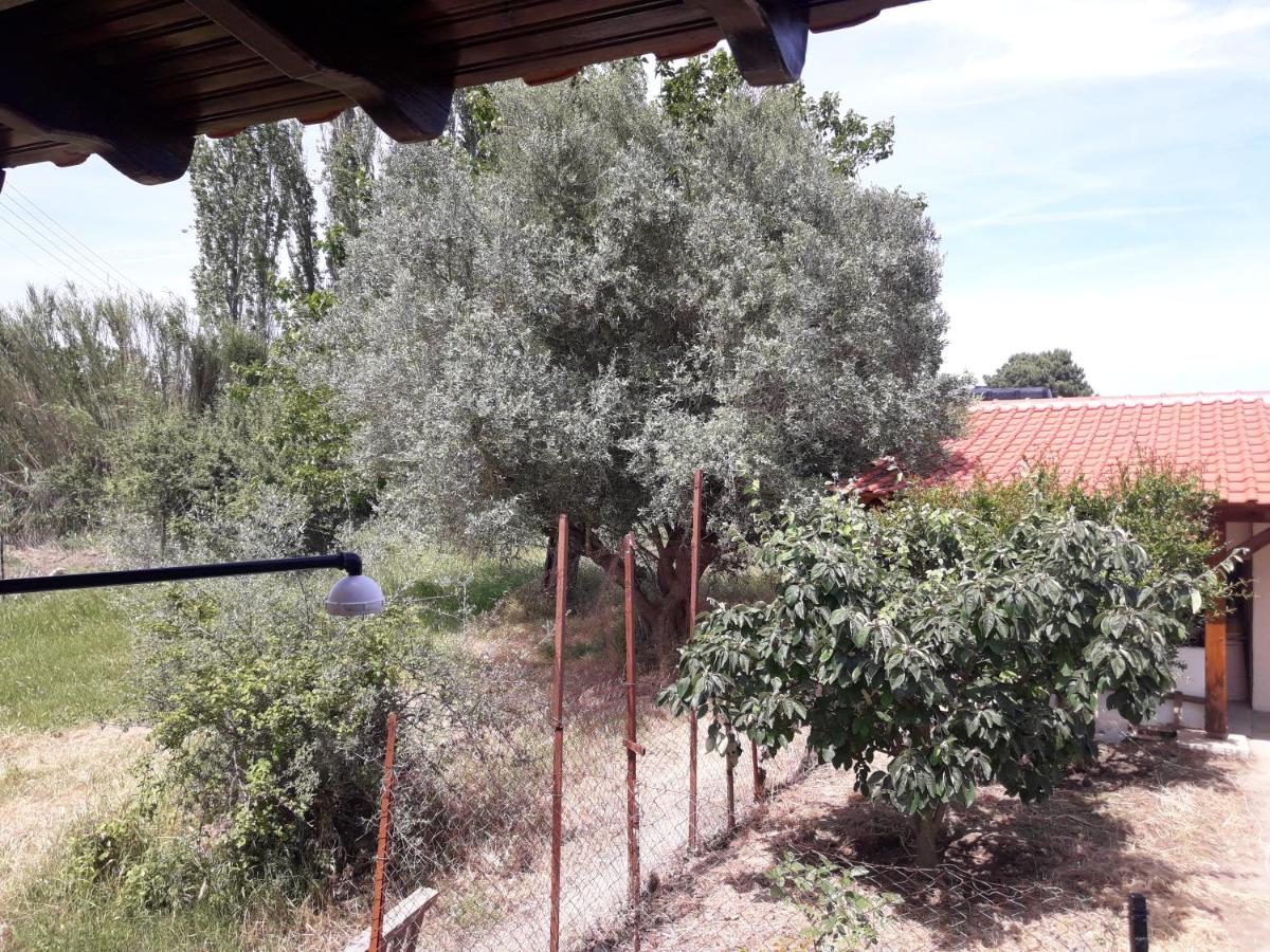 Photo 22