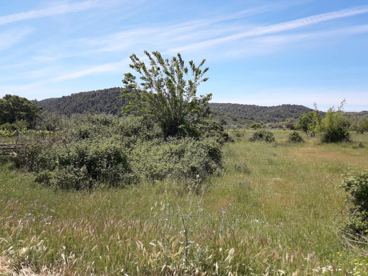 Photo 25