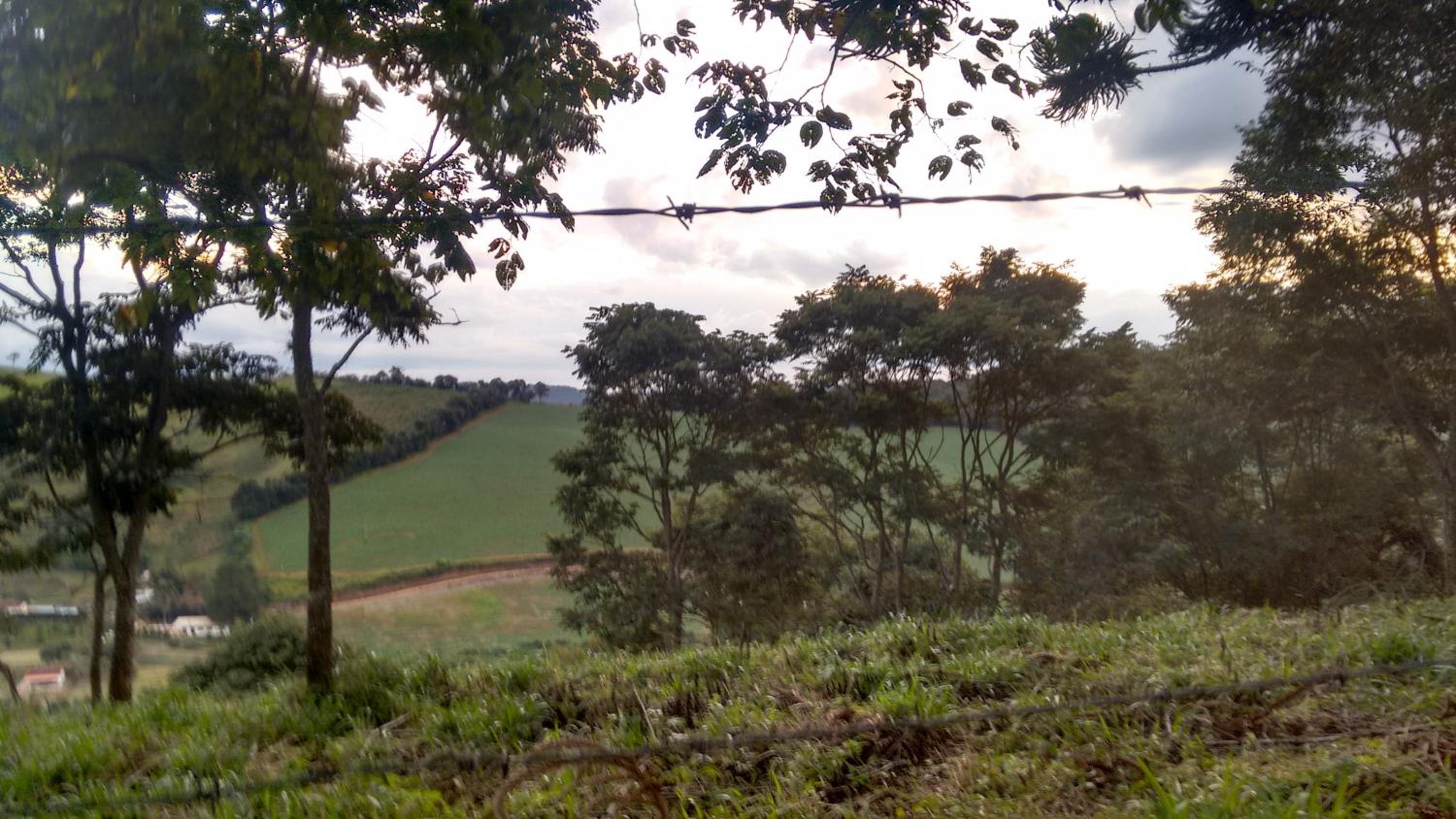 Recanto das Videiras, photo 50