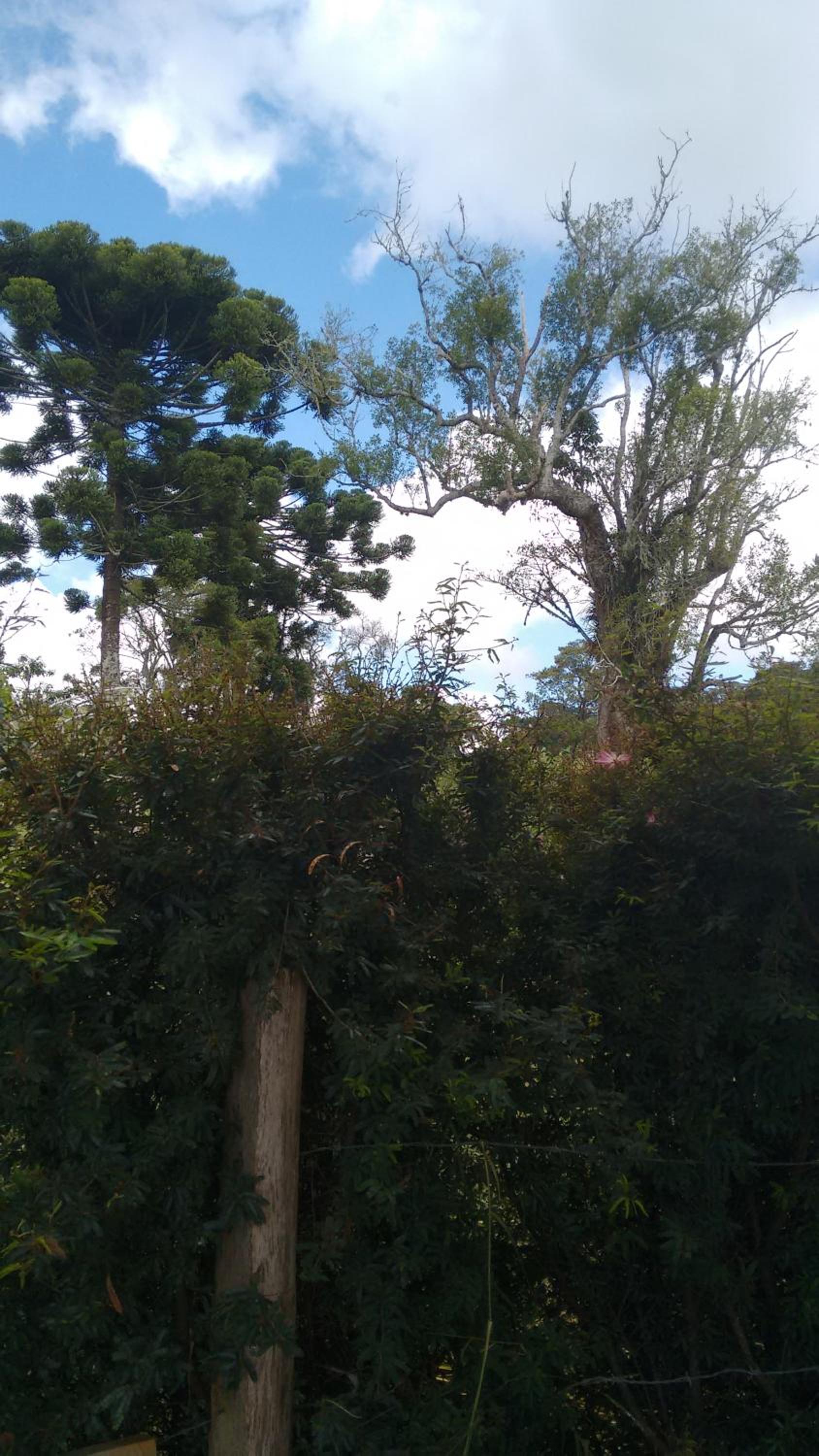 Recanto das Videiras, photo 57