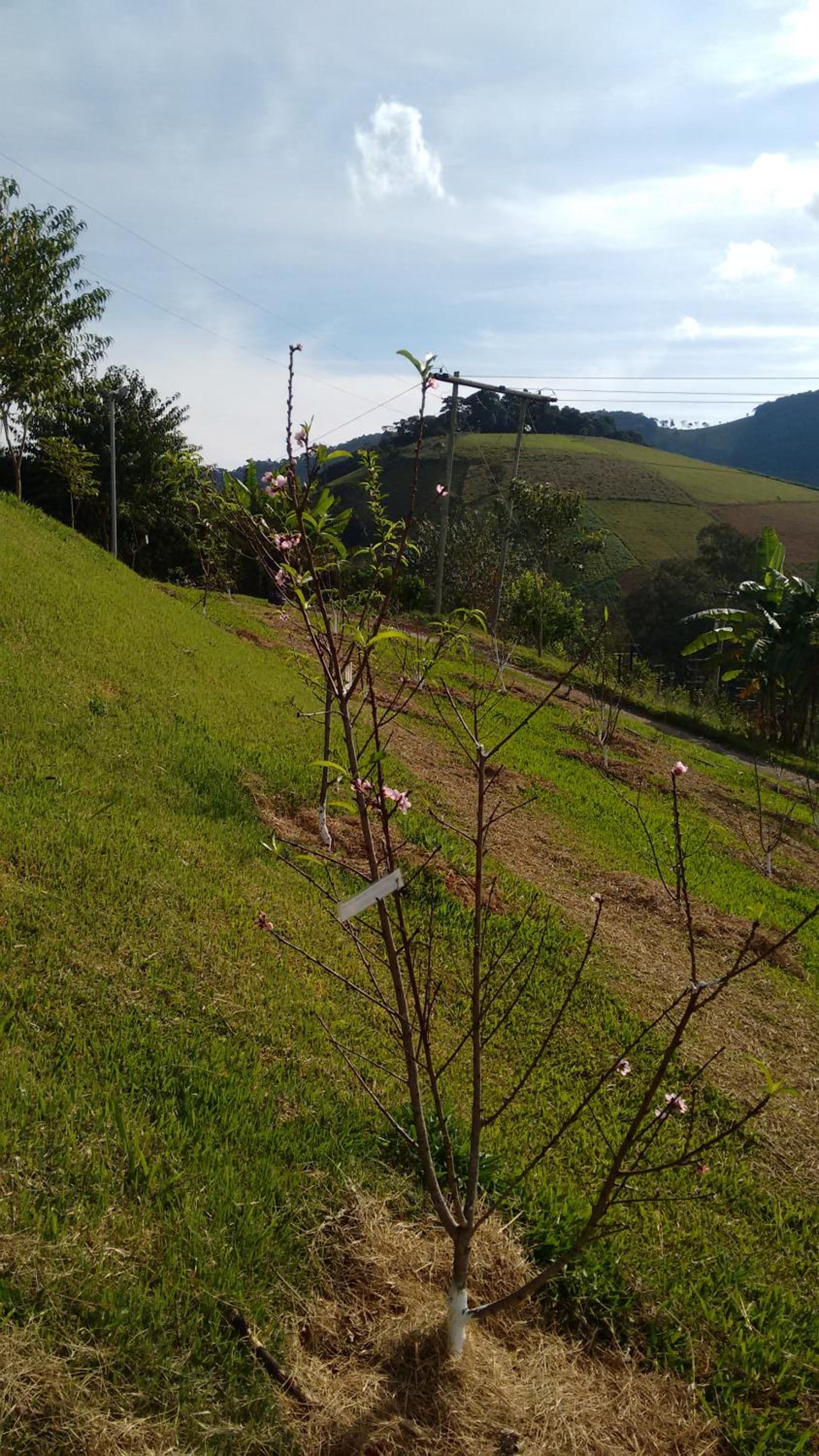 Recanto das Videiras, photo 43