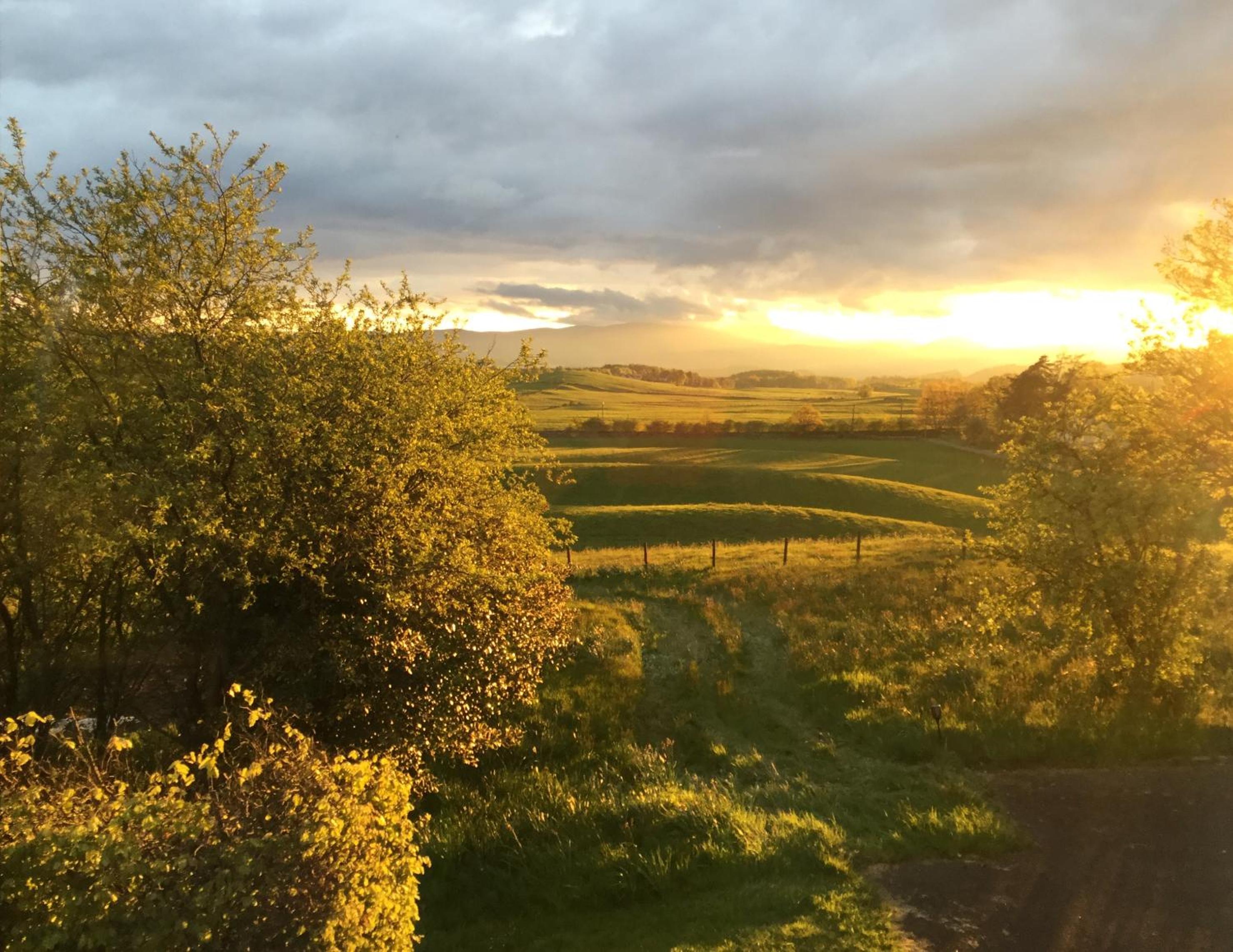 Shandon Farmhouse Bed and Breakfast view 3