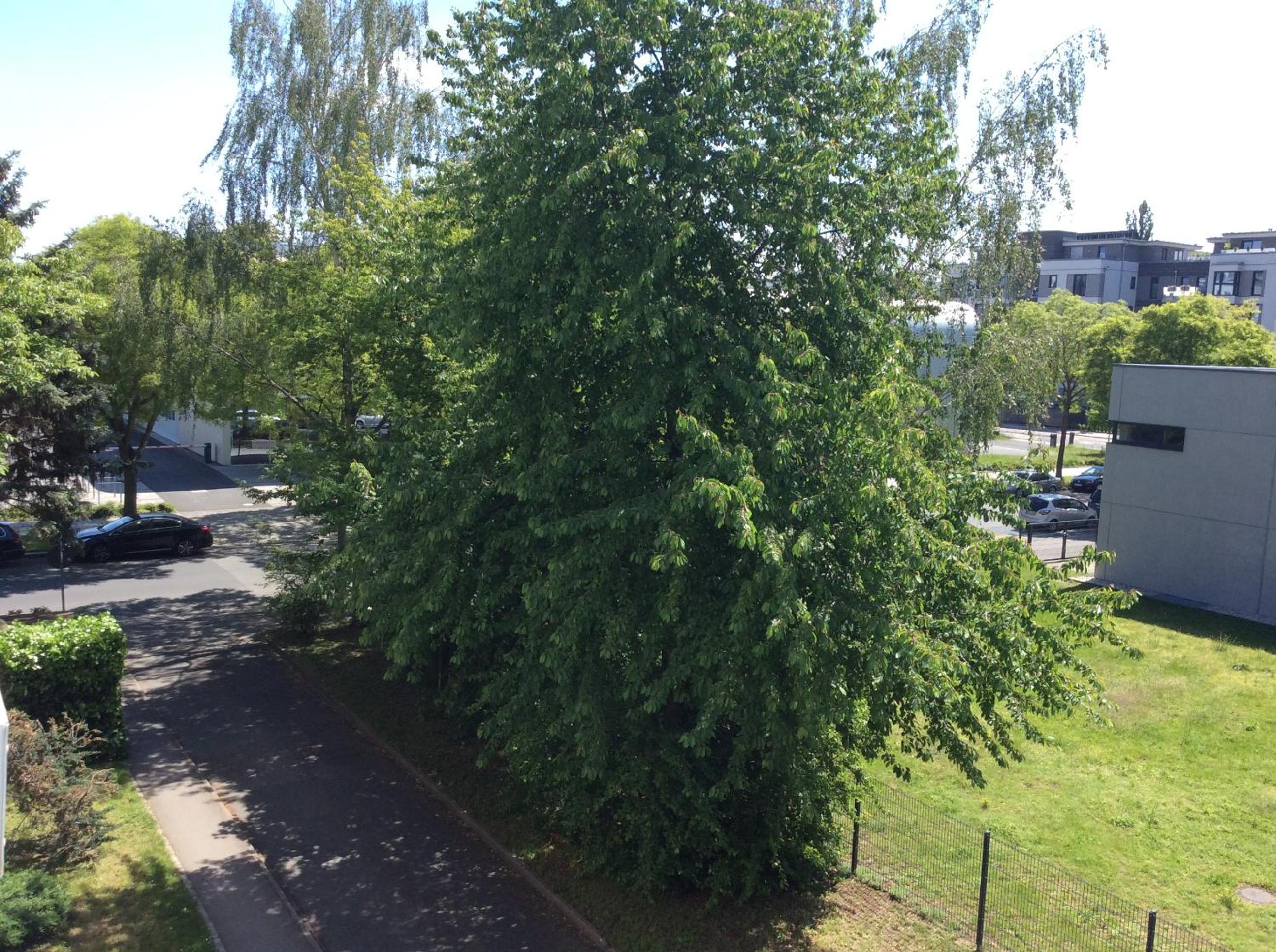 other