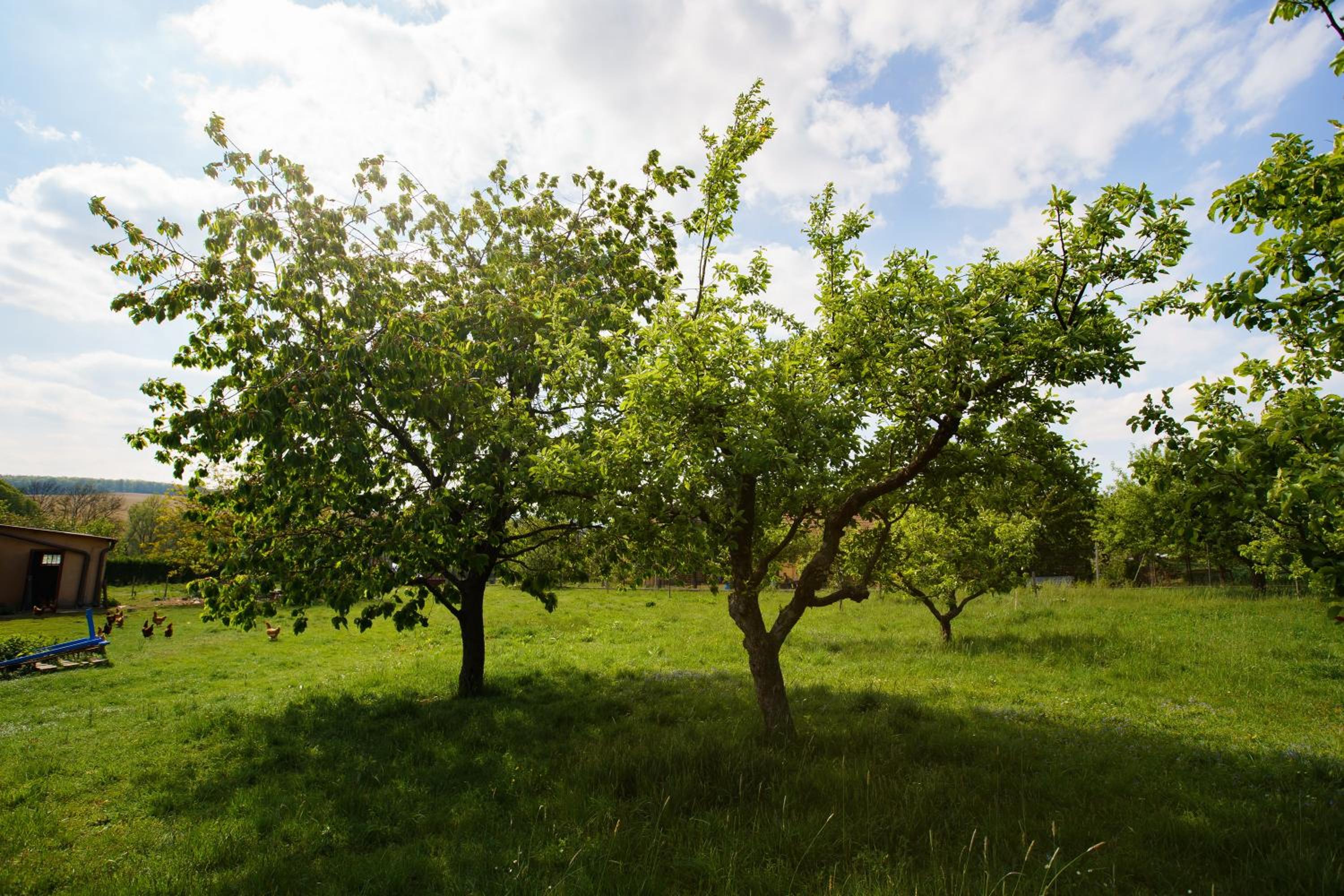 Photo 25