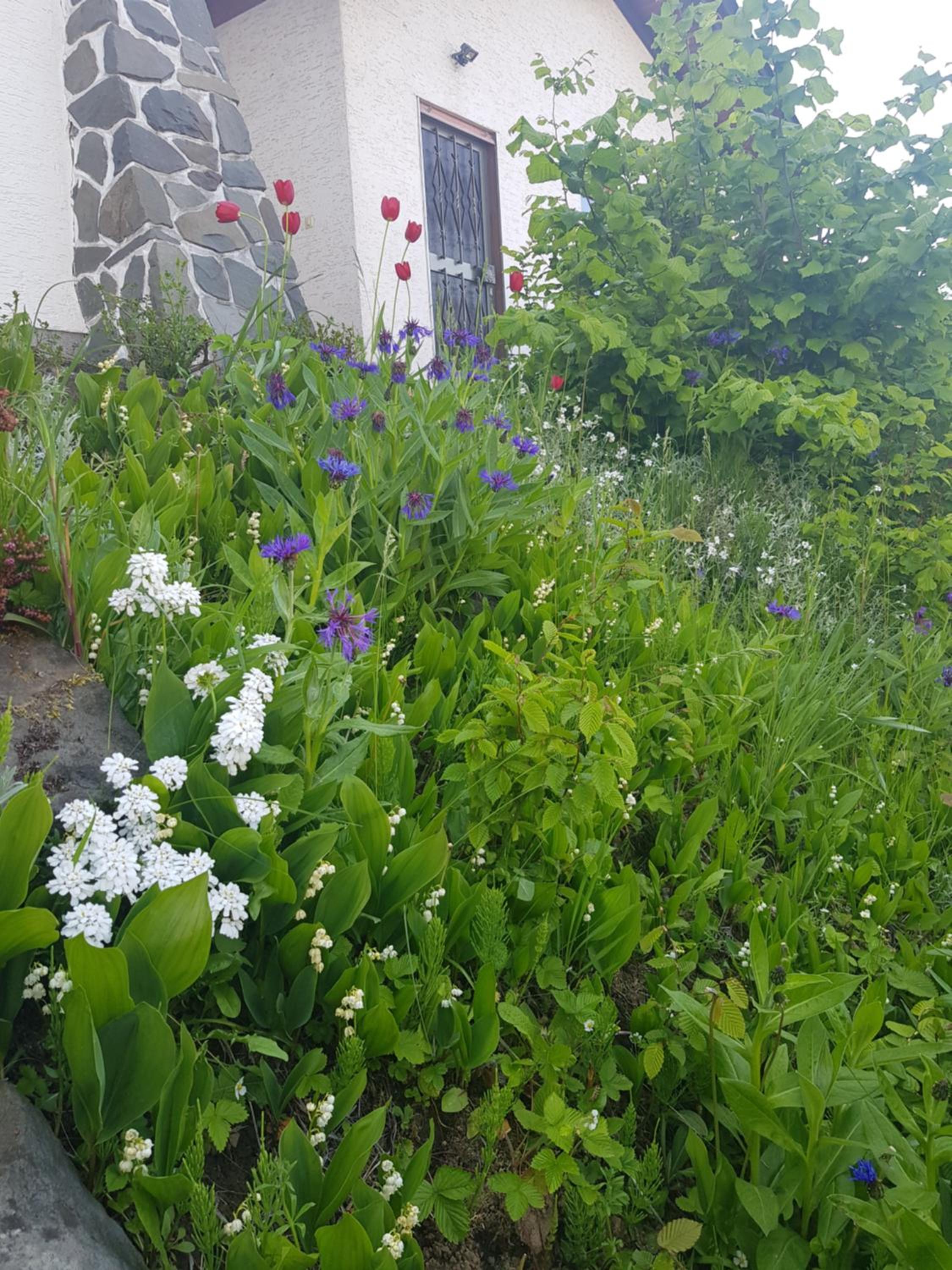 Photo 17