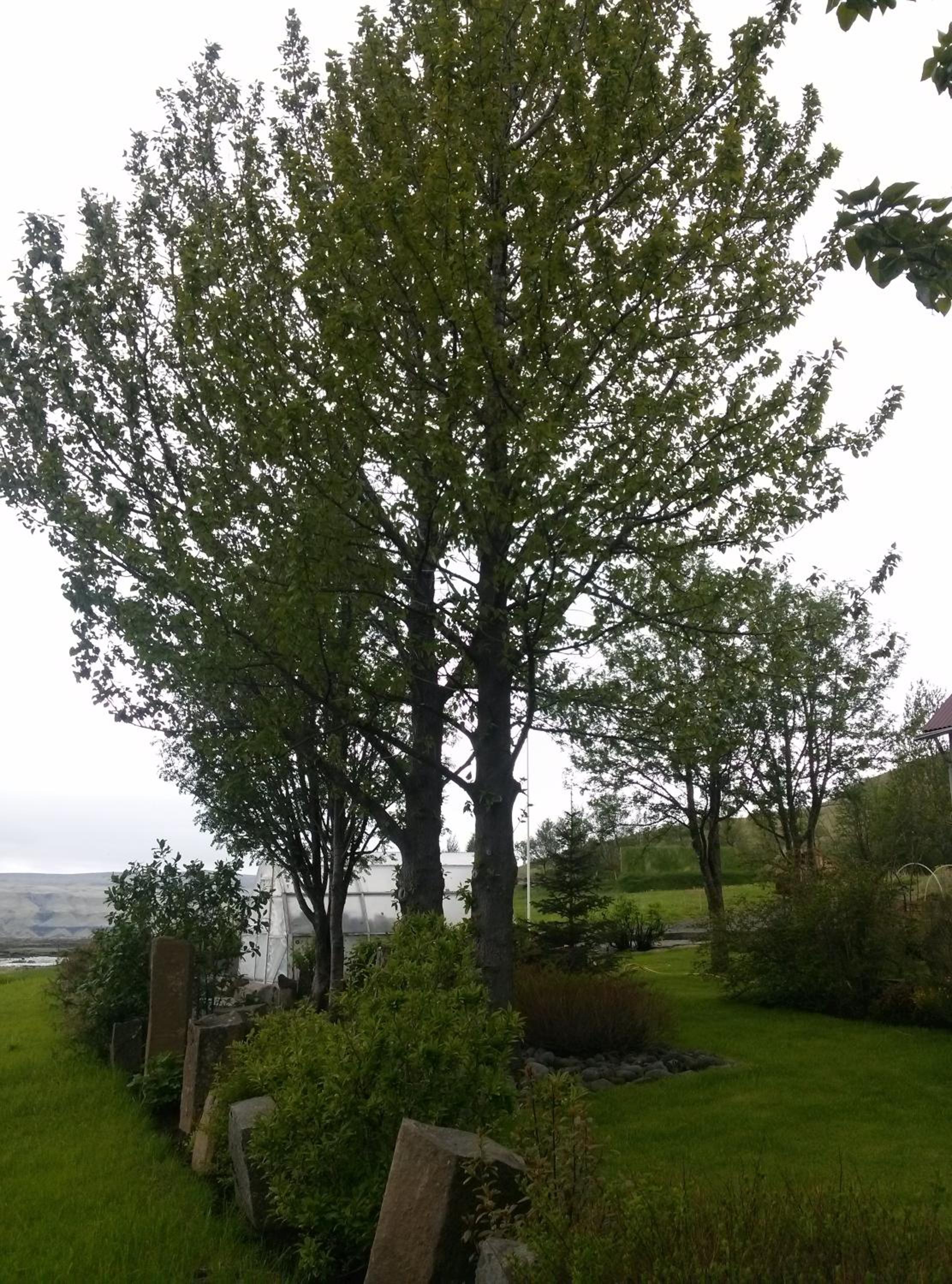 Photo 49