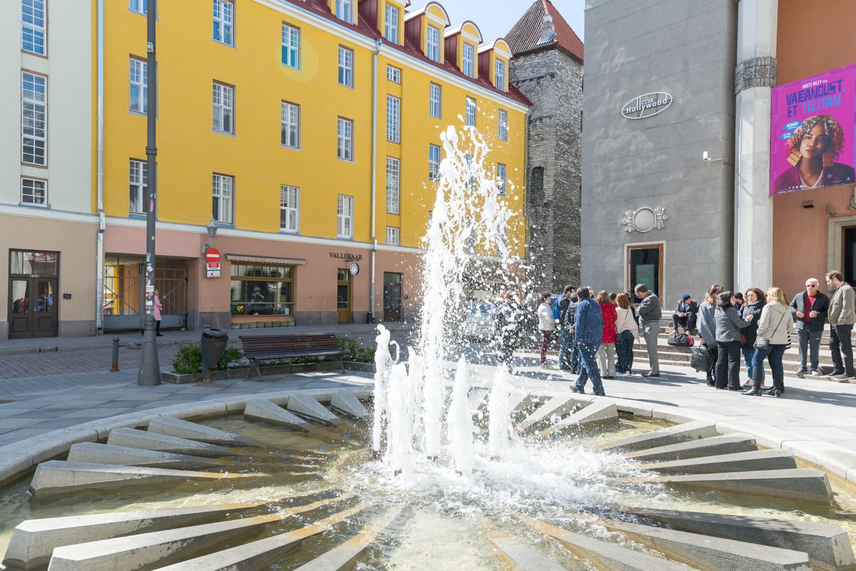 Photo 19