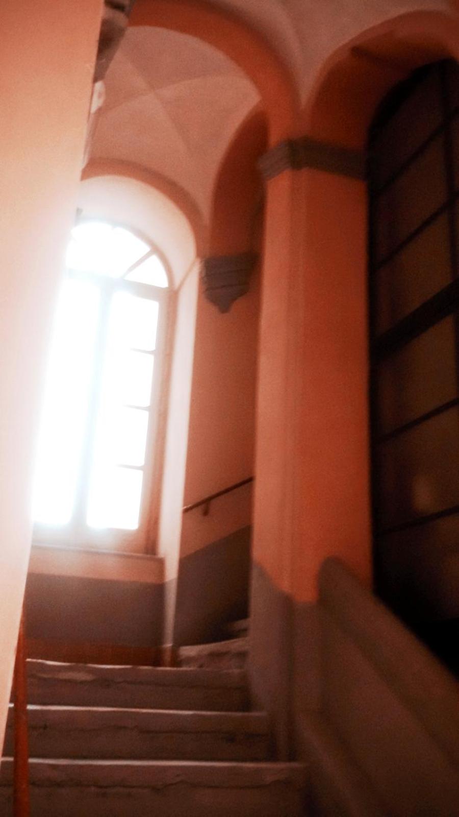 Domusrealstella