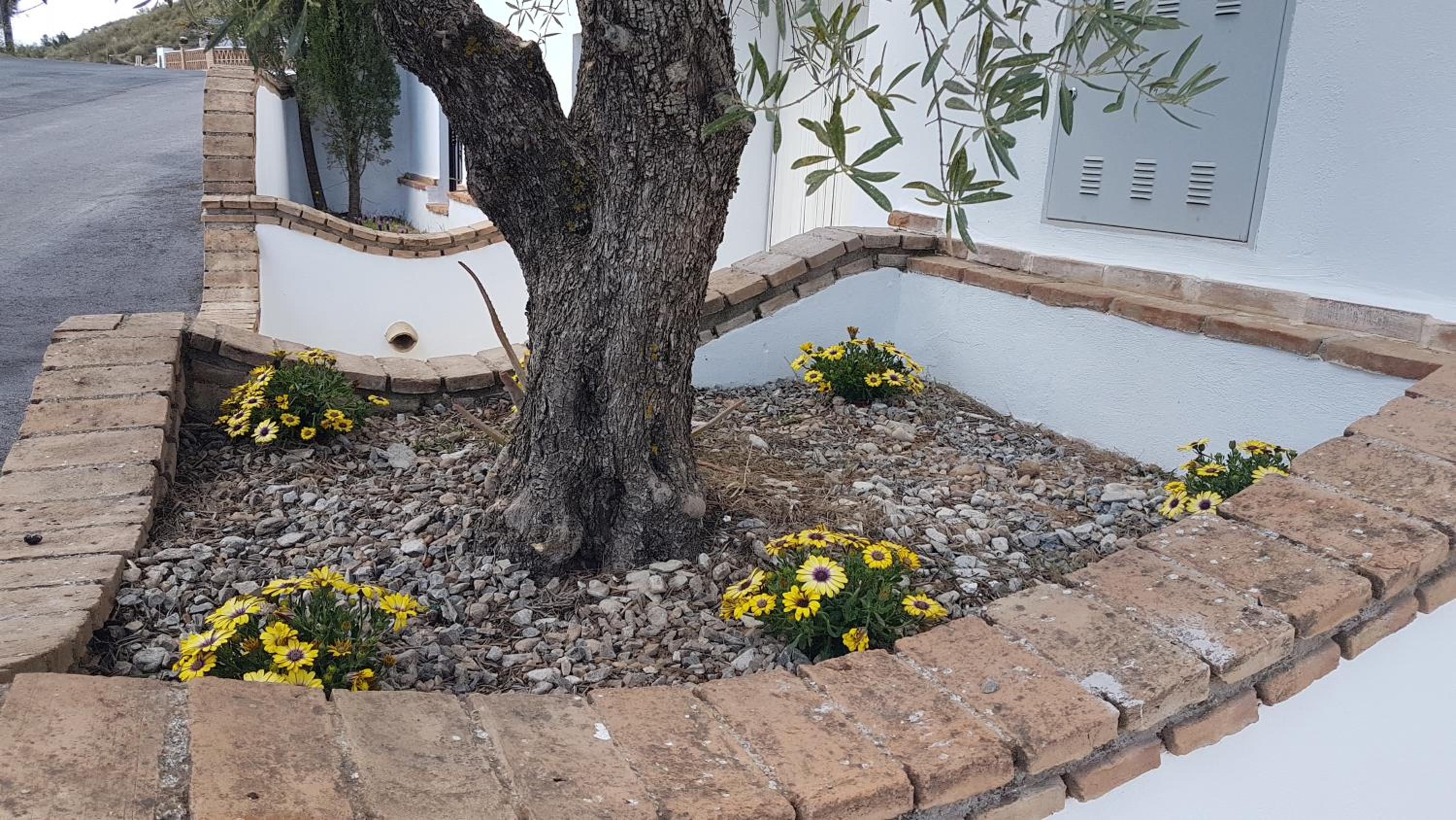 Casa Cueva Sol con chimenea y piscina compartida view 5